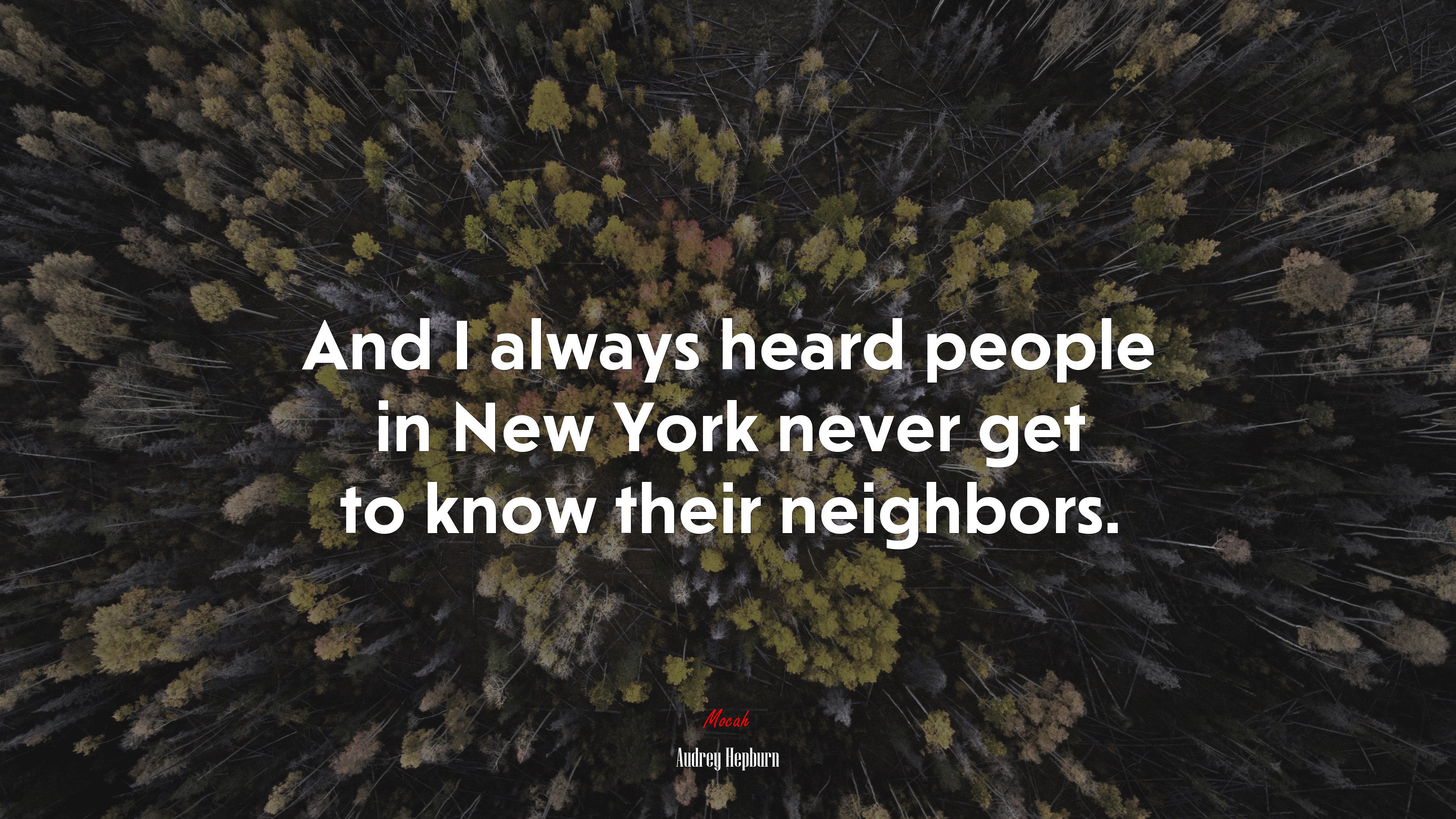 And I always heard people in New York never get to know their neighbors. | Audrey Hepburn quote HD Wallpaper