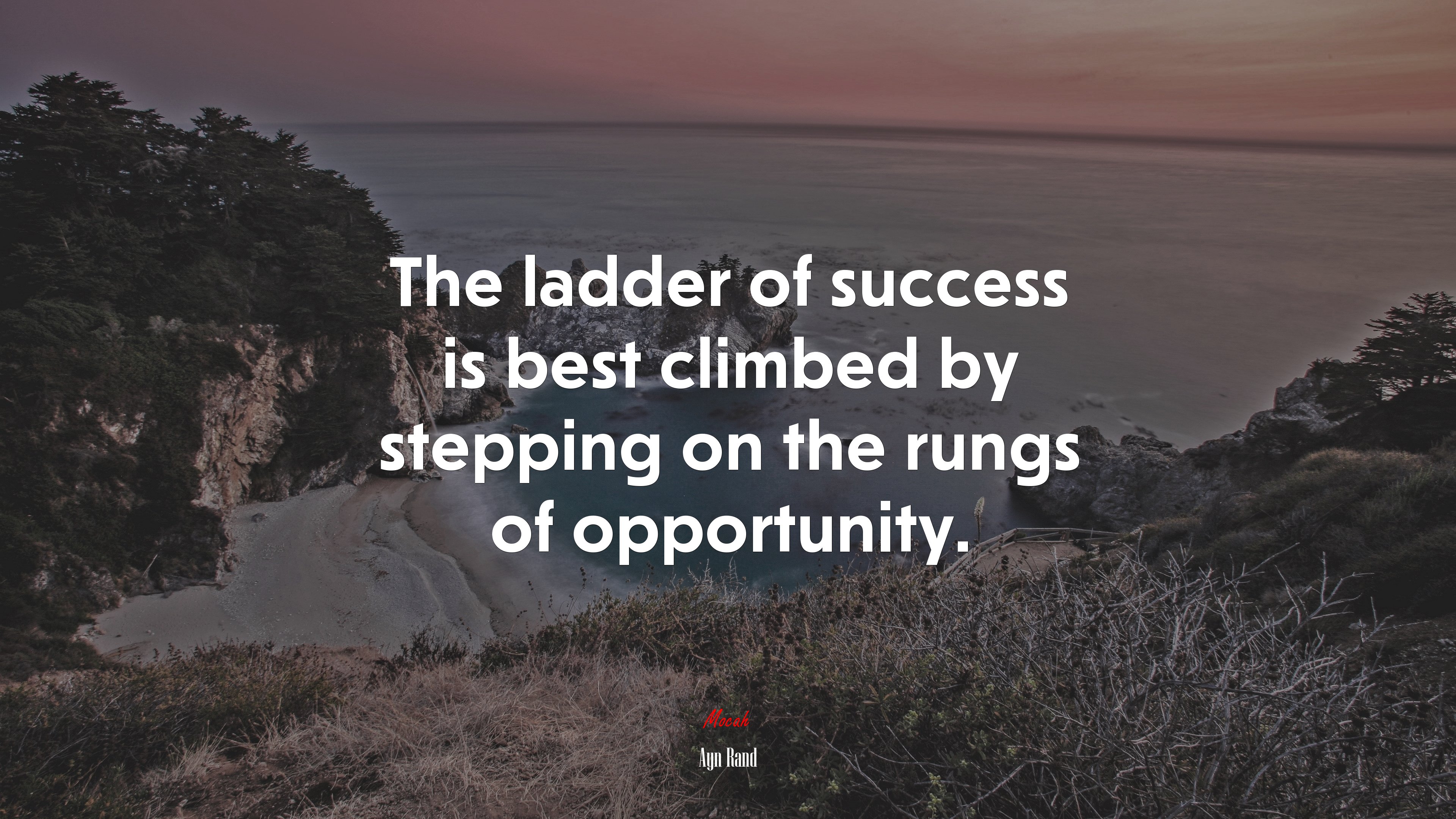 The ladder of success is best climbed by stepping on the rungs of opportunity. | Ayn Rand quote HD Wallpaper