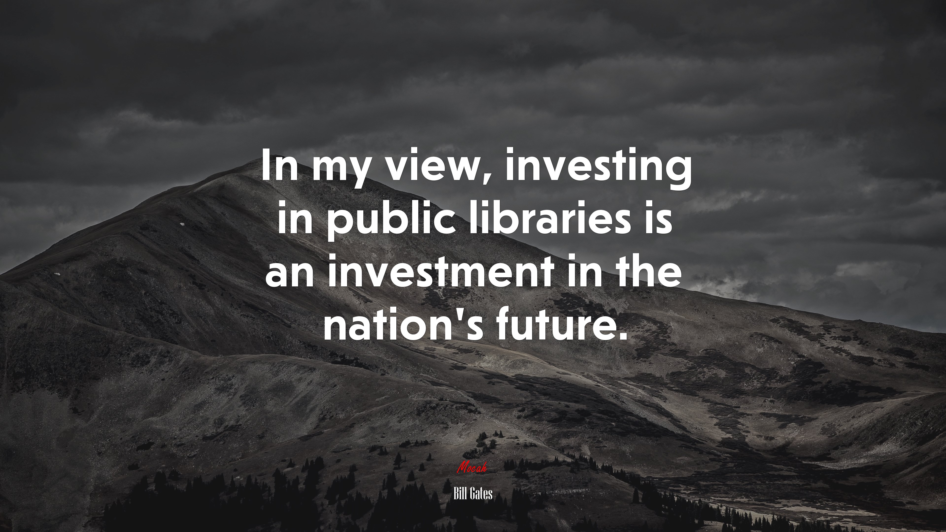 In my view, investing in public libraries is an investment in the nation’s future. | Bill Gates quote HD Wallpaper