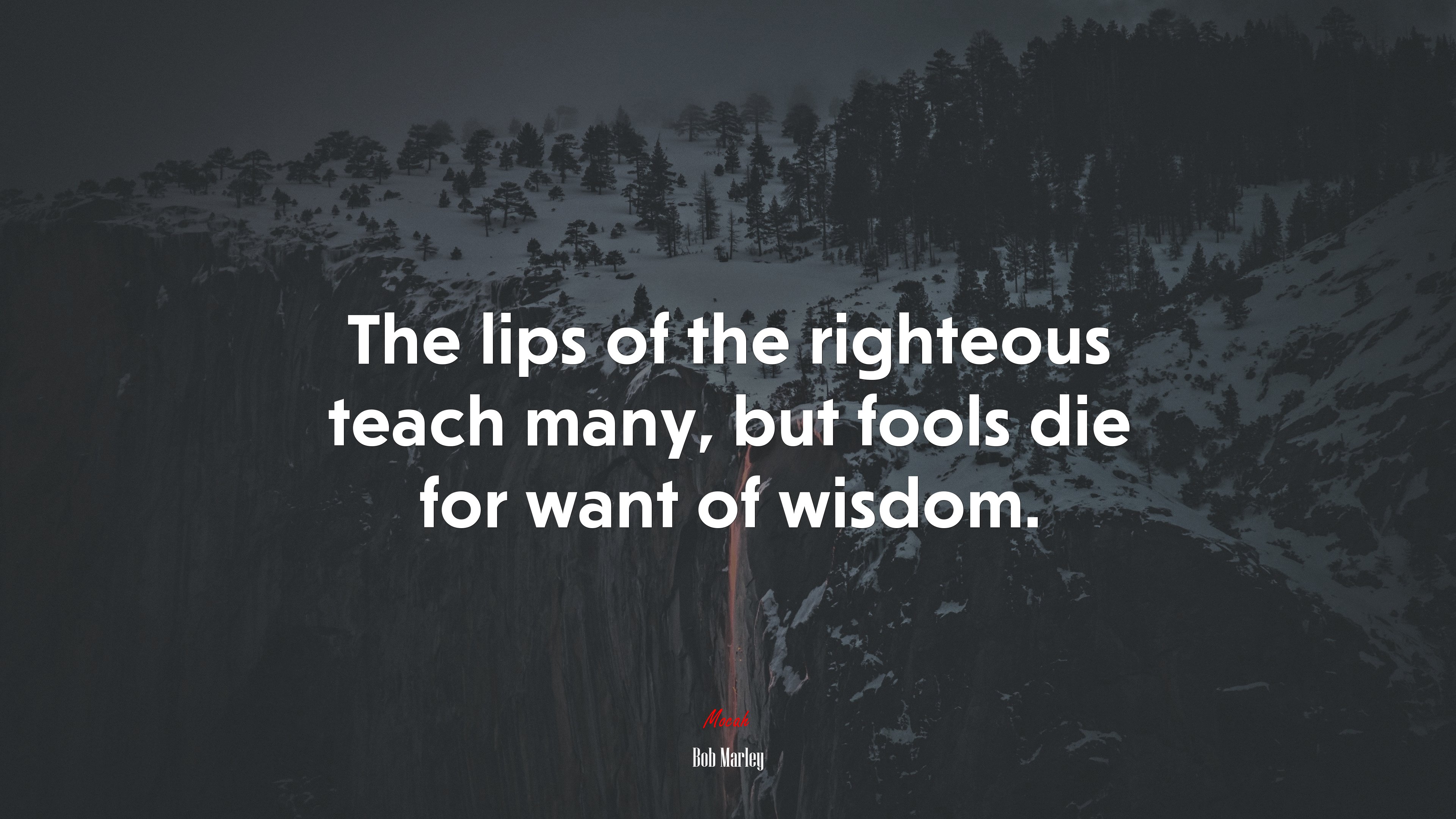 The lips of the righteous teach many, but fools die for want of wisdom. | Bob Marley quote HD Wallpaper