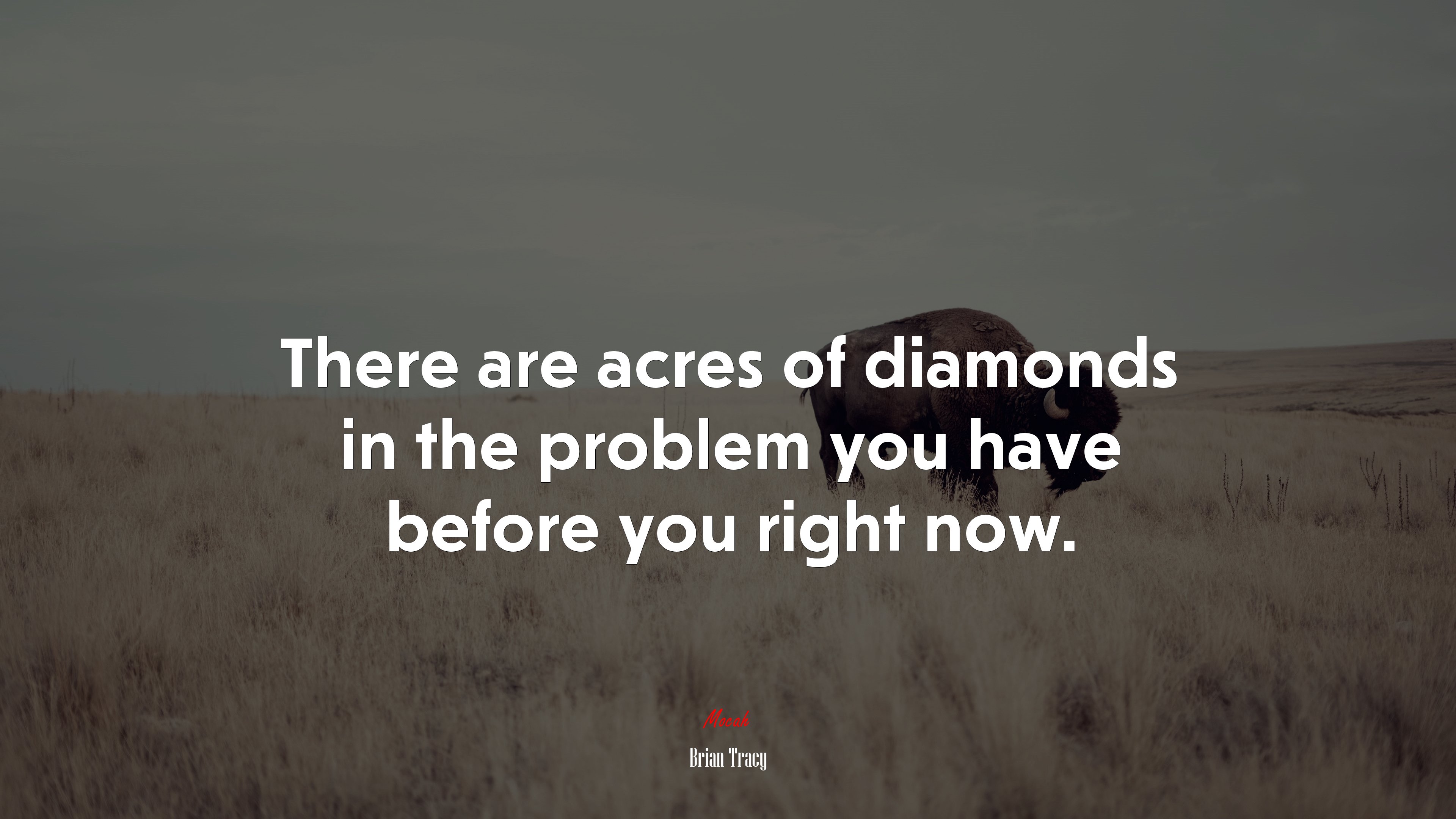 There are acres of diamonds in the problem you have before you right now. | Brian Tracy quote HD Wallpaper