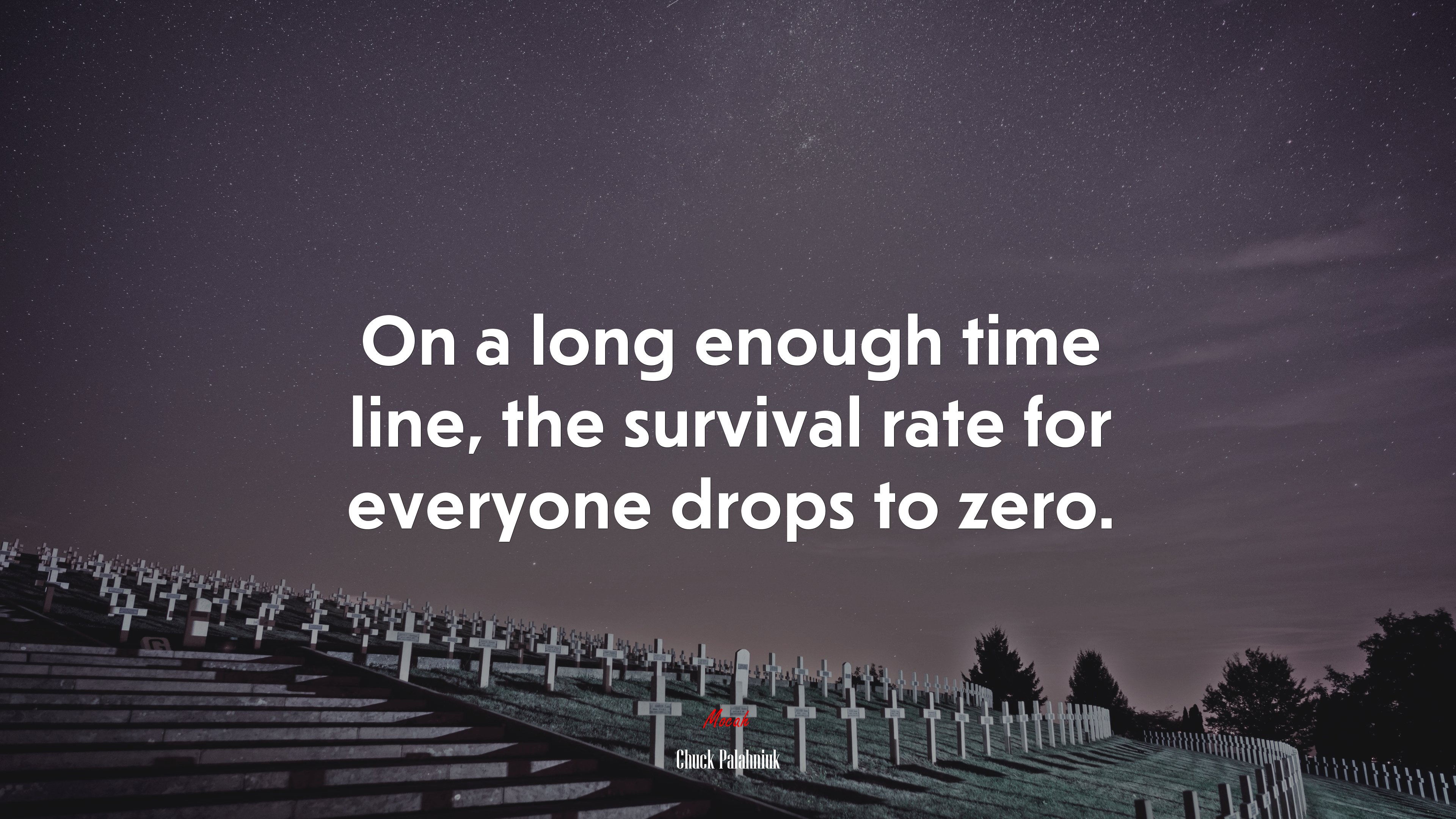 On a long enough time line, the survival rate for everyone drops to zero. | Chuck Palahniuk quote HD Wallpaper
