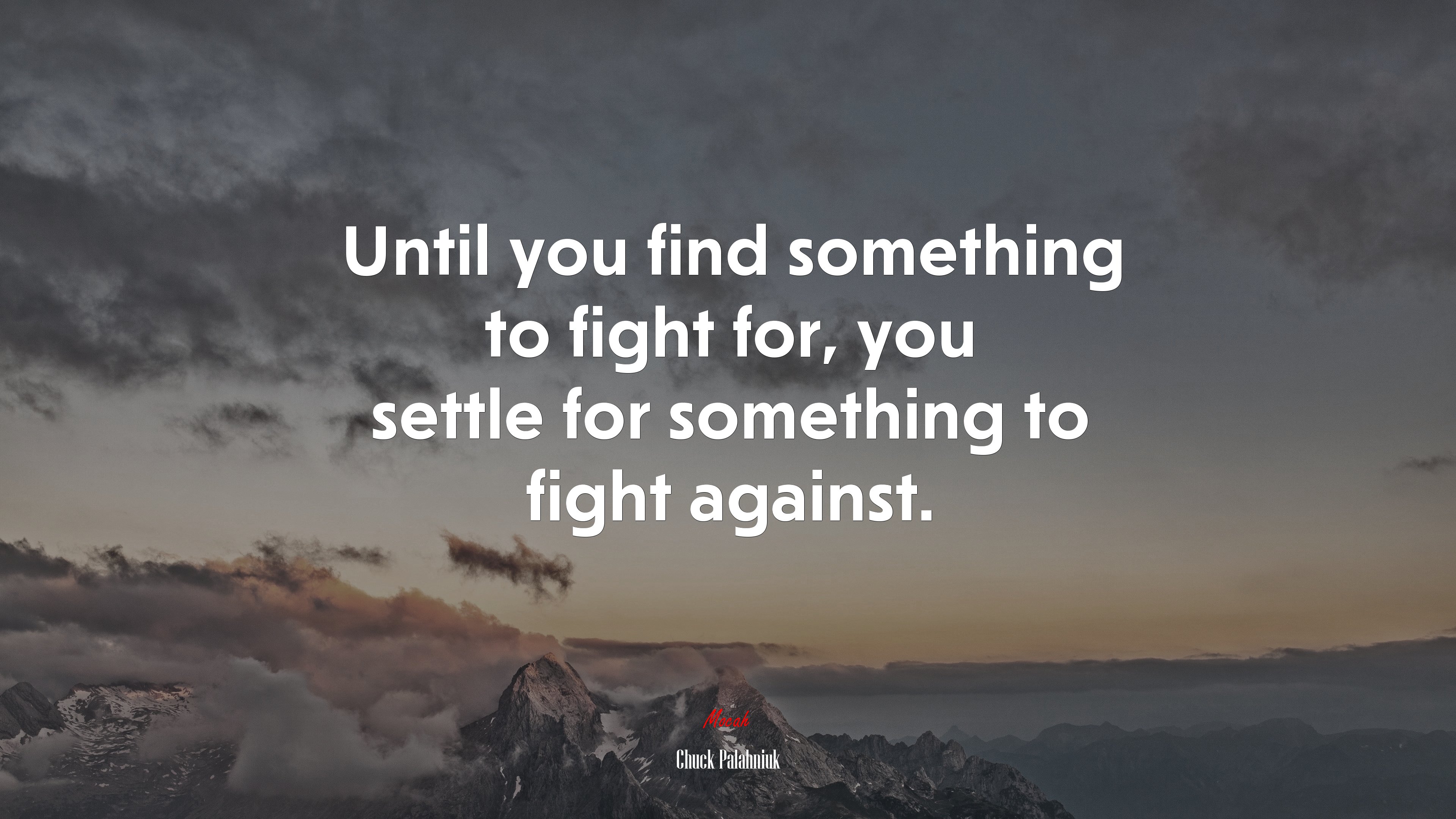 Until you find something to fight for, you settle for something to fight against. | Chuck Palahniuk quote HD Wallpaper