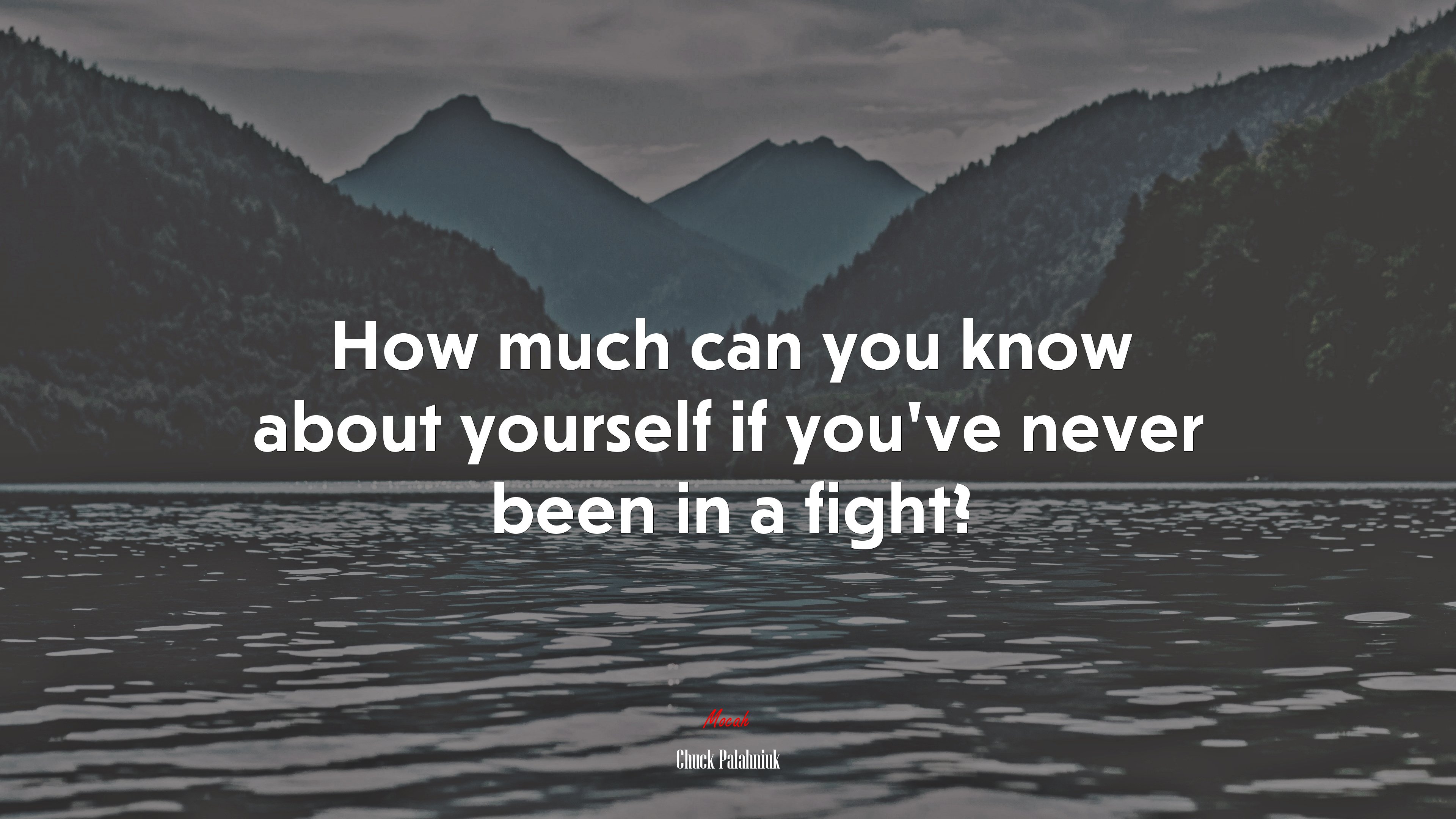 How much can you know about yourself if you’ve never been in a fight? | Chuck Palahniuk quote HD Wallpaper