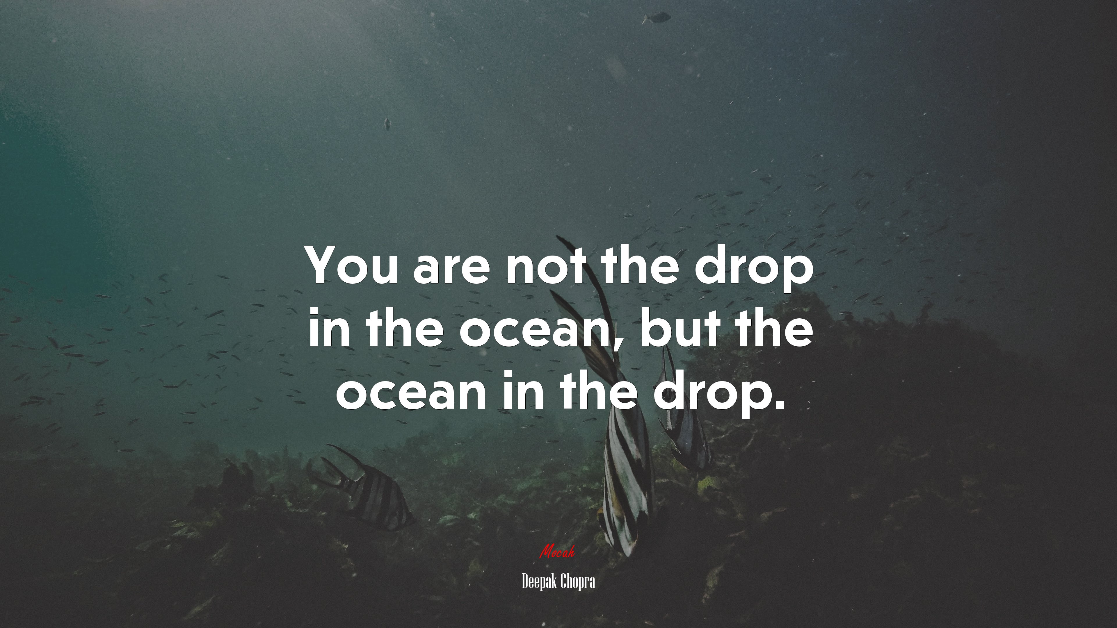 You are not the drop in the ocean, but the ocean in the drop. | Deepak Chopra quote HD Wallpaper