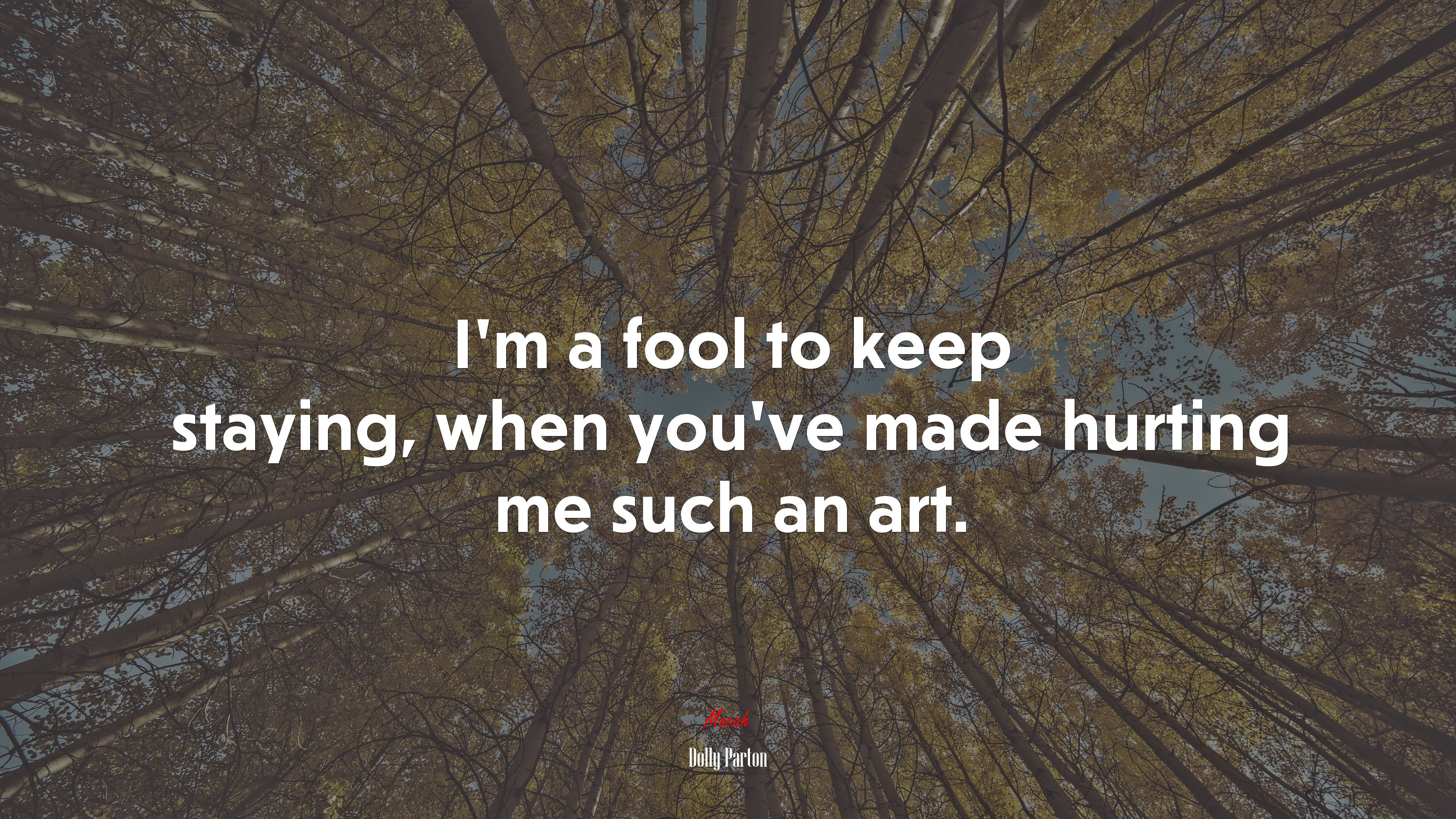 I’m a fool to keep staying, when you’ve made hurting me such an art. | Dolly Parton quote HD Wallpaper