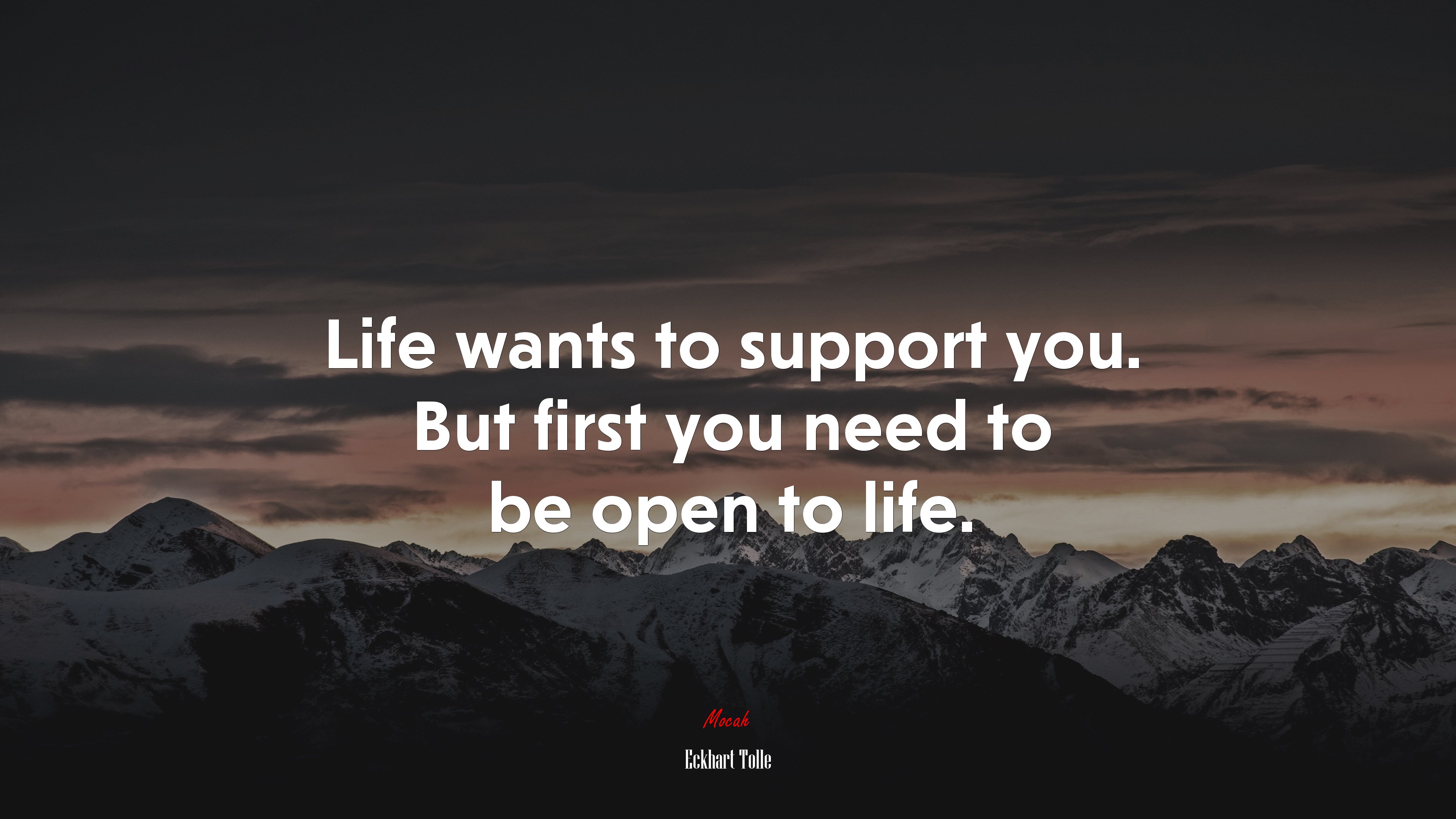Life wants to support you. But first you need to be open to life. | Eckhart Tolle quote HD Wallpaper