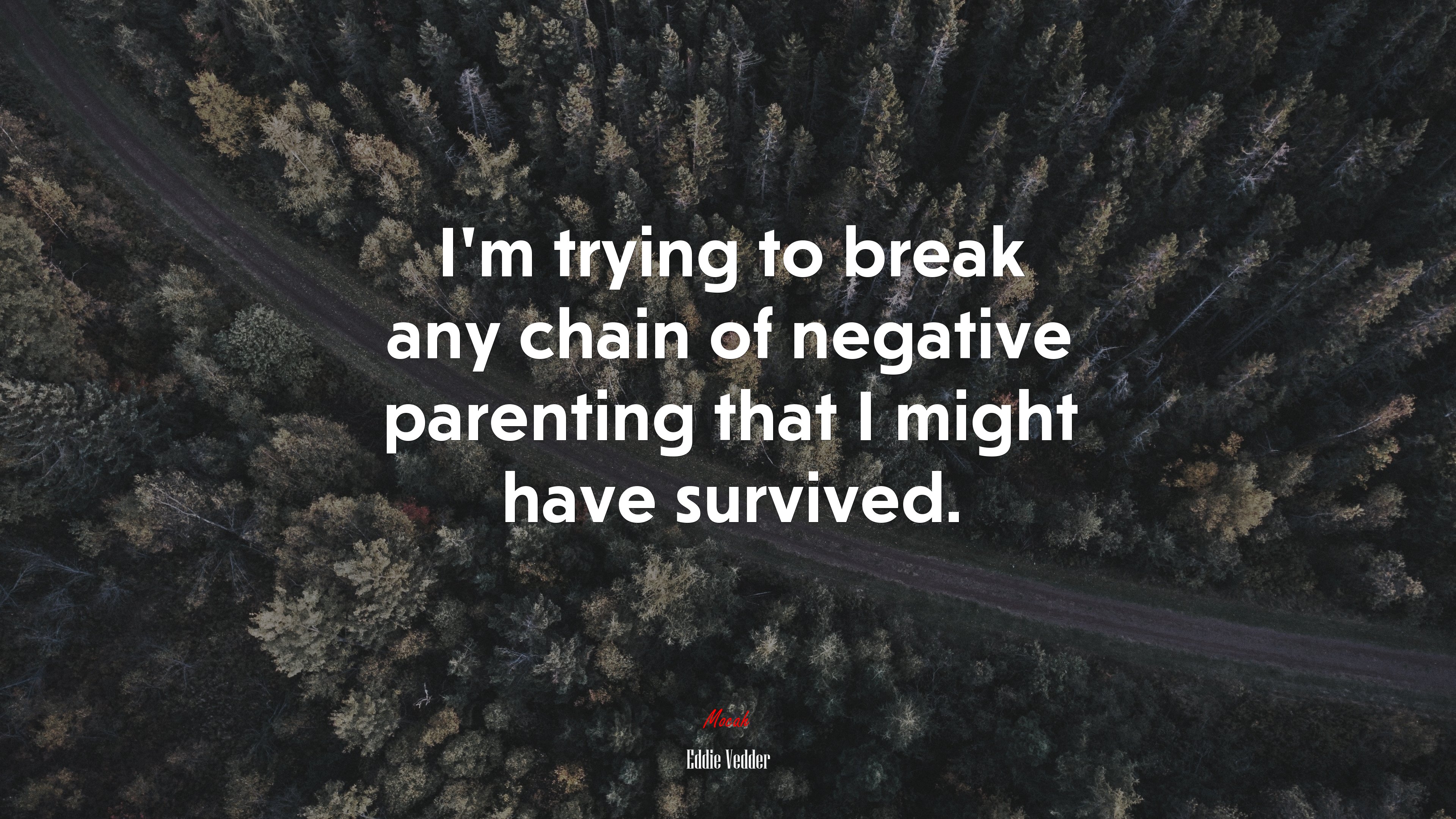 I’m trying to break any chain of negative parenting that I might have survived. | Eddie Vedder quote HD Wallpaper