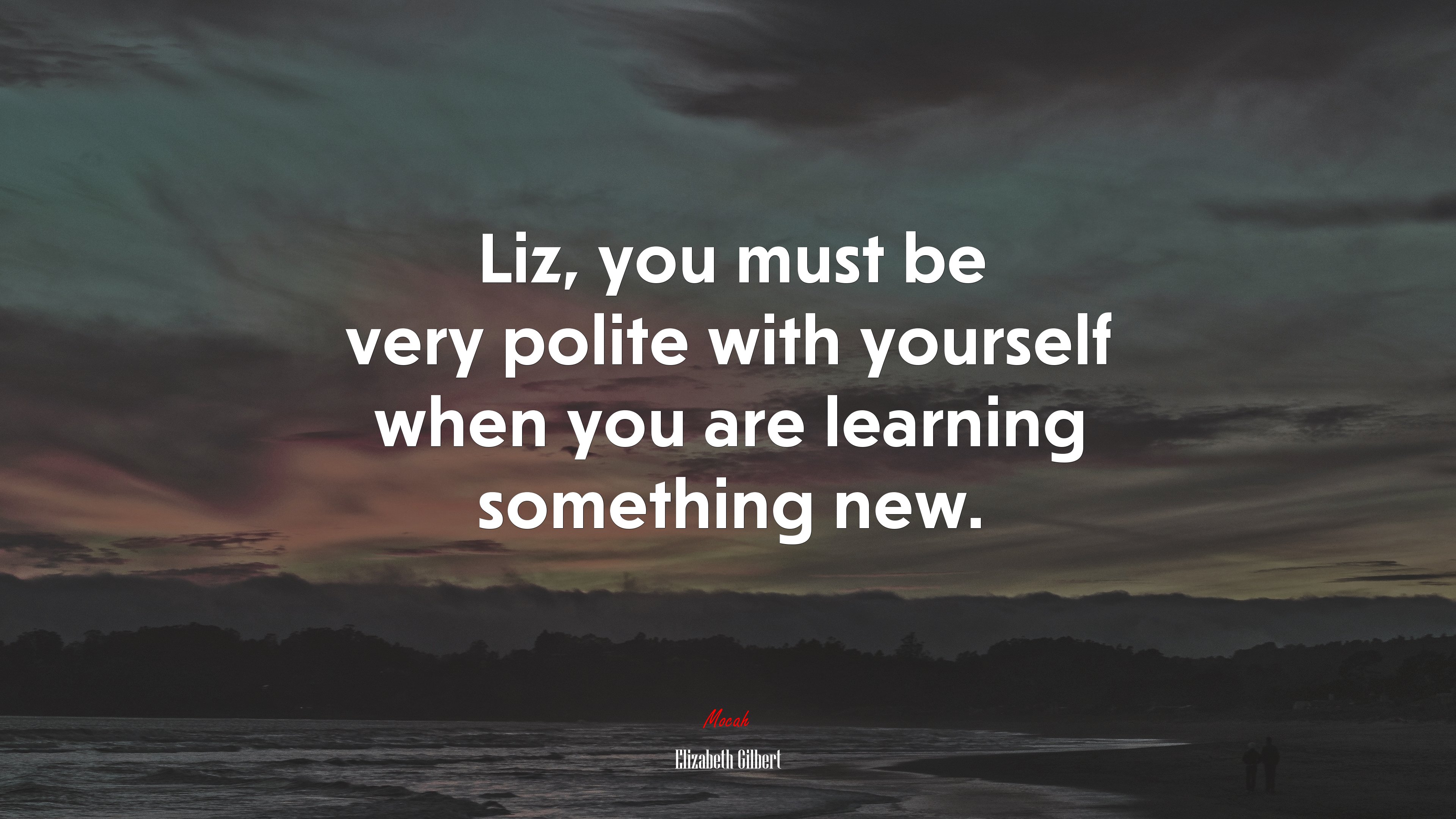 Liz, you must be very polite with yourself when you are learning something new. | Elizabeth Gilbert quote HD Wallpaper