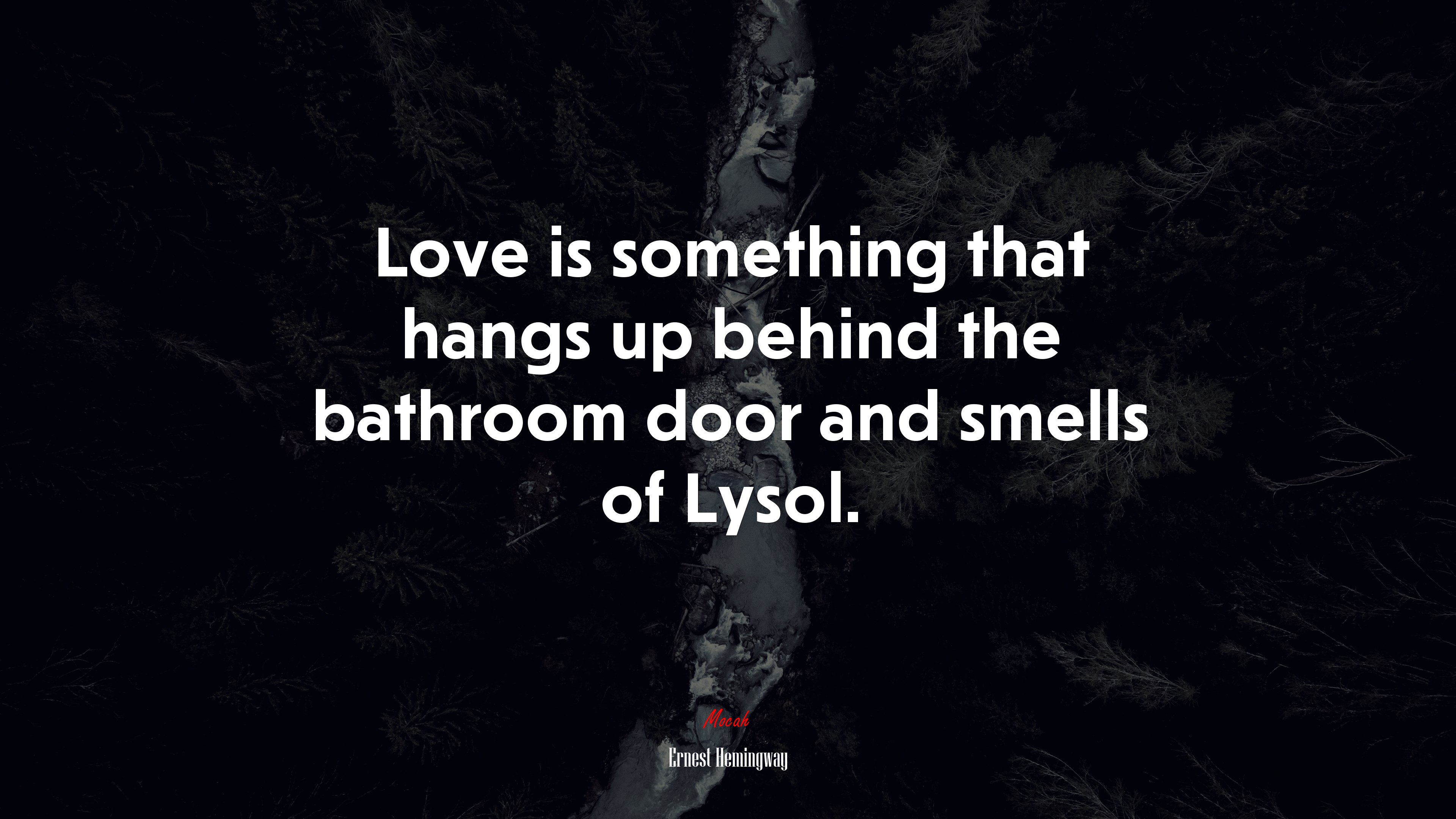 Love is something that hangs up behind the bathroom door and smells of Lysol. | Ernest Hemingway quote HD Wallpaper