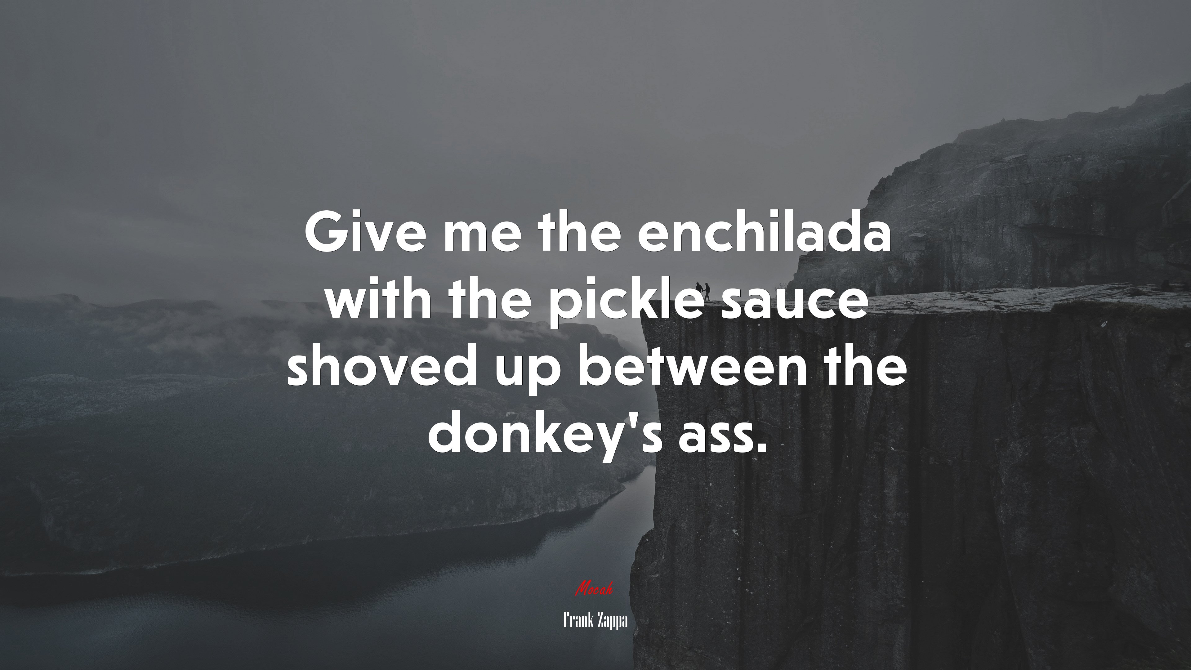 Give me the enchilada with the pickle sauce shoved up between the donkey’s ass. | Frank Zappa quote HD Wallpaper