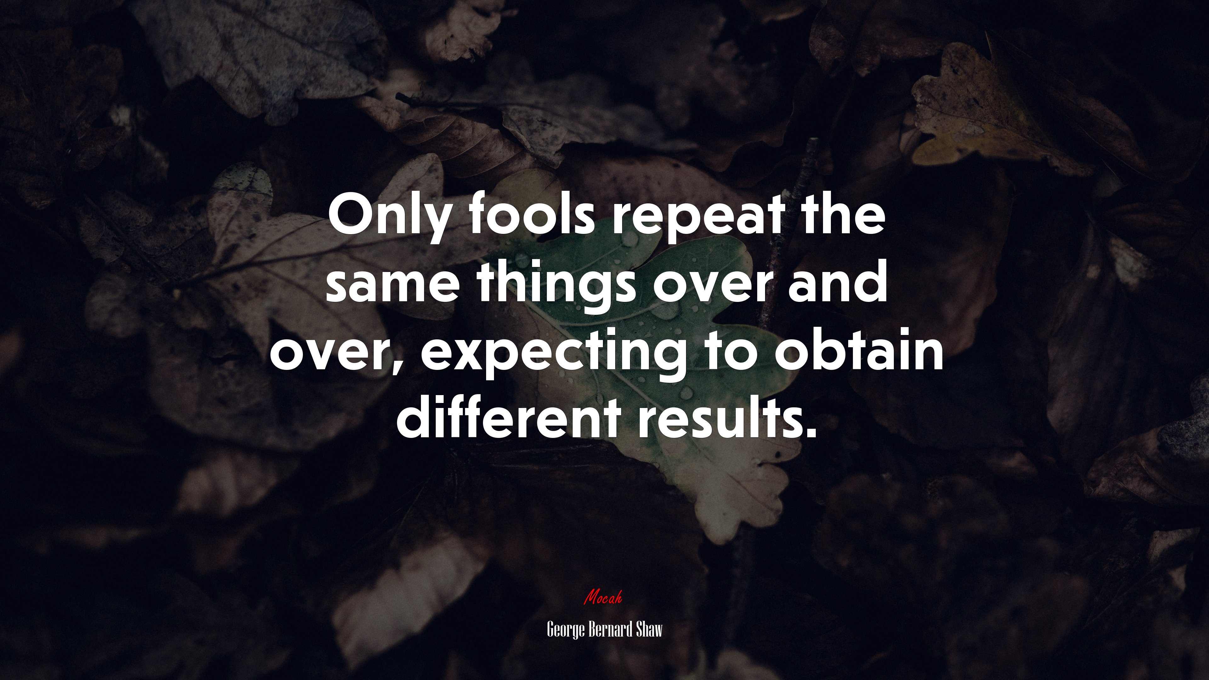 Only fools repeat the same things over and over, expecting to obtain different results. | George Bernard Shaw quote HD Wallpaper