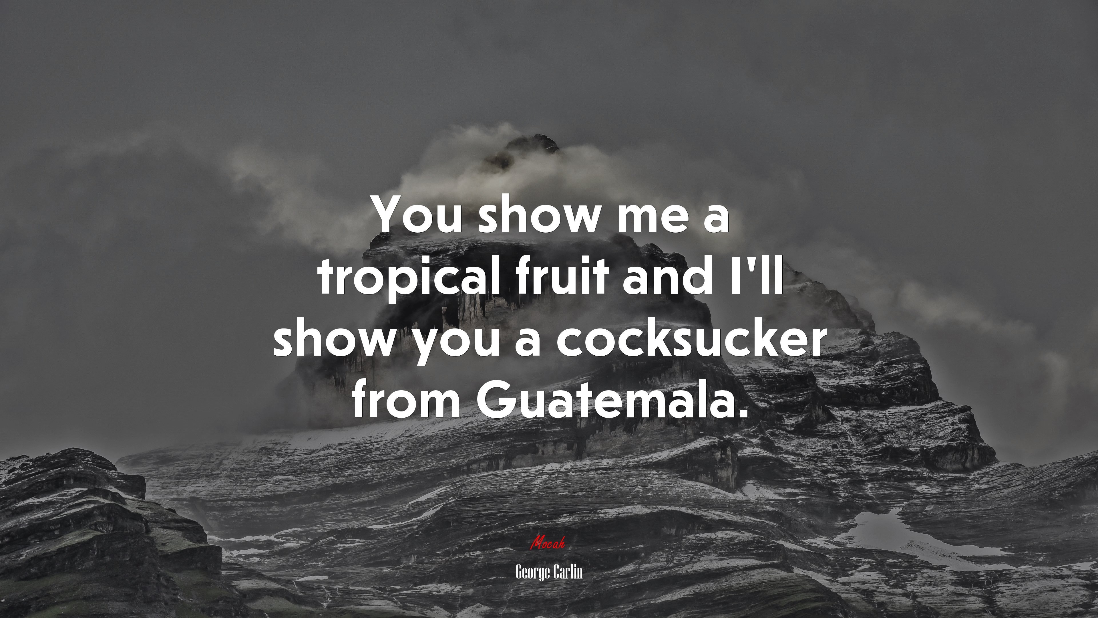 You show me a tropical fruit and I’ll show you a cocksucker from Guatemala. | George Carlin quote HD Wallpaper