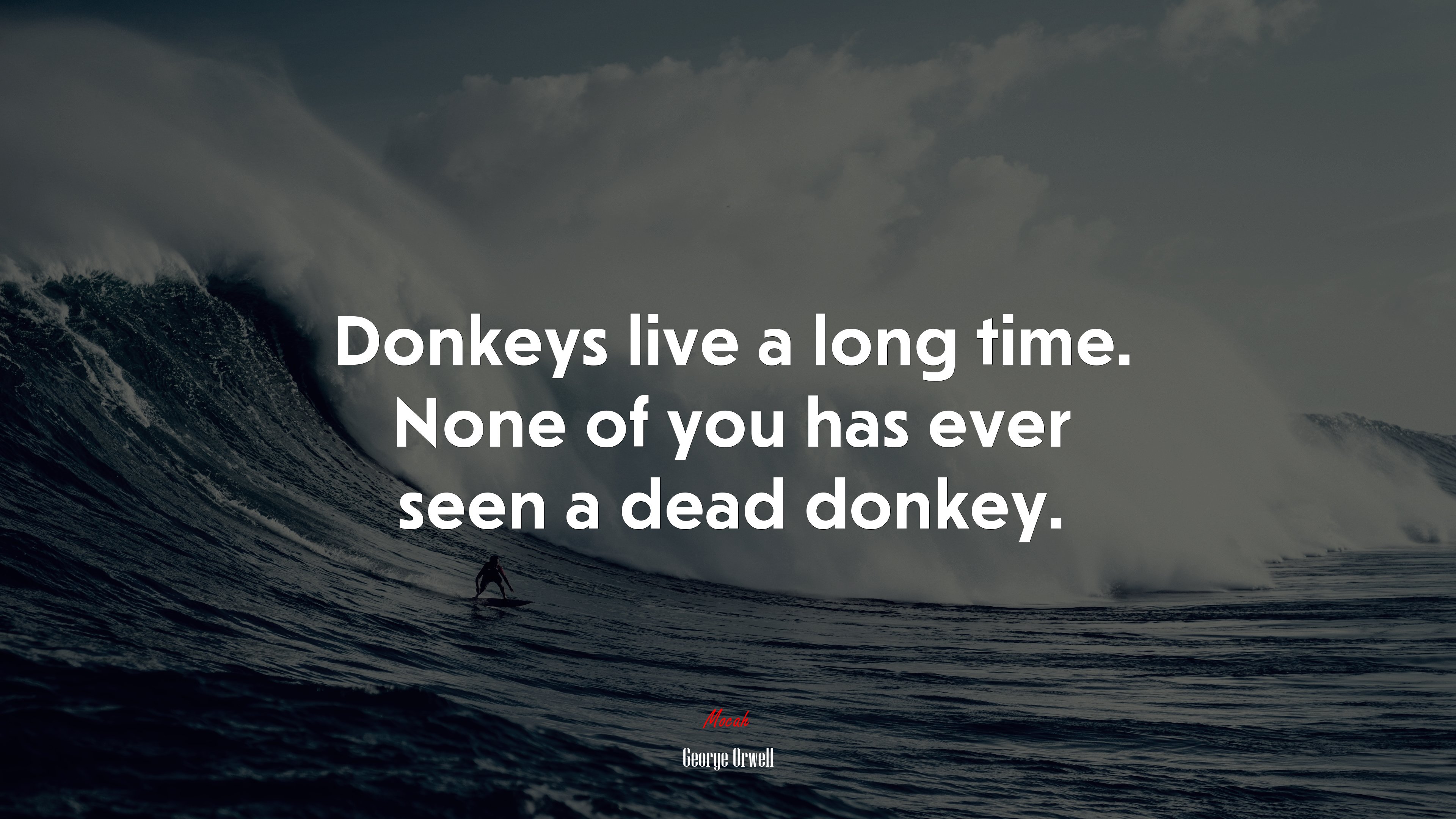 Donkeys live a long time. None of you has ever seen a dead donkey. | George Orwell quote HD Wallpaper