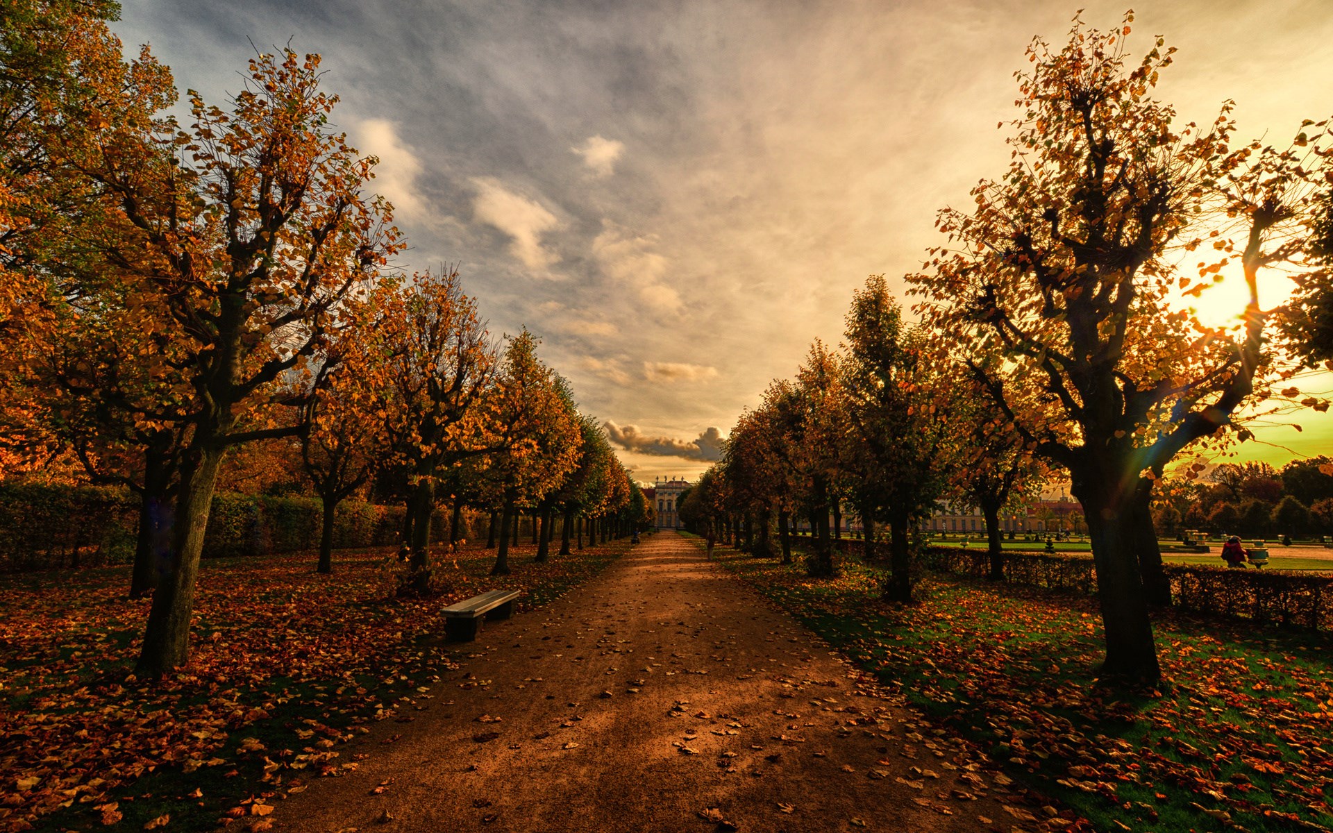 Autumn park pathway with trees and a building HD Wallpaper