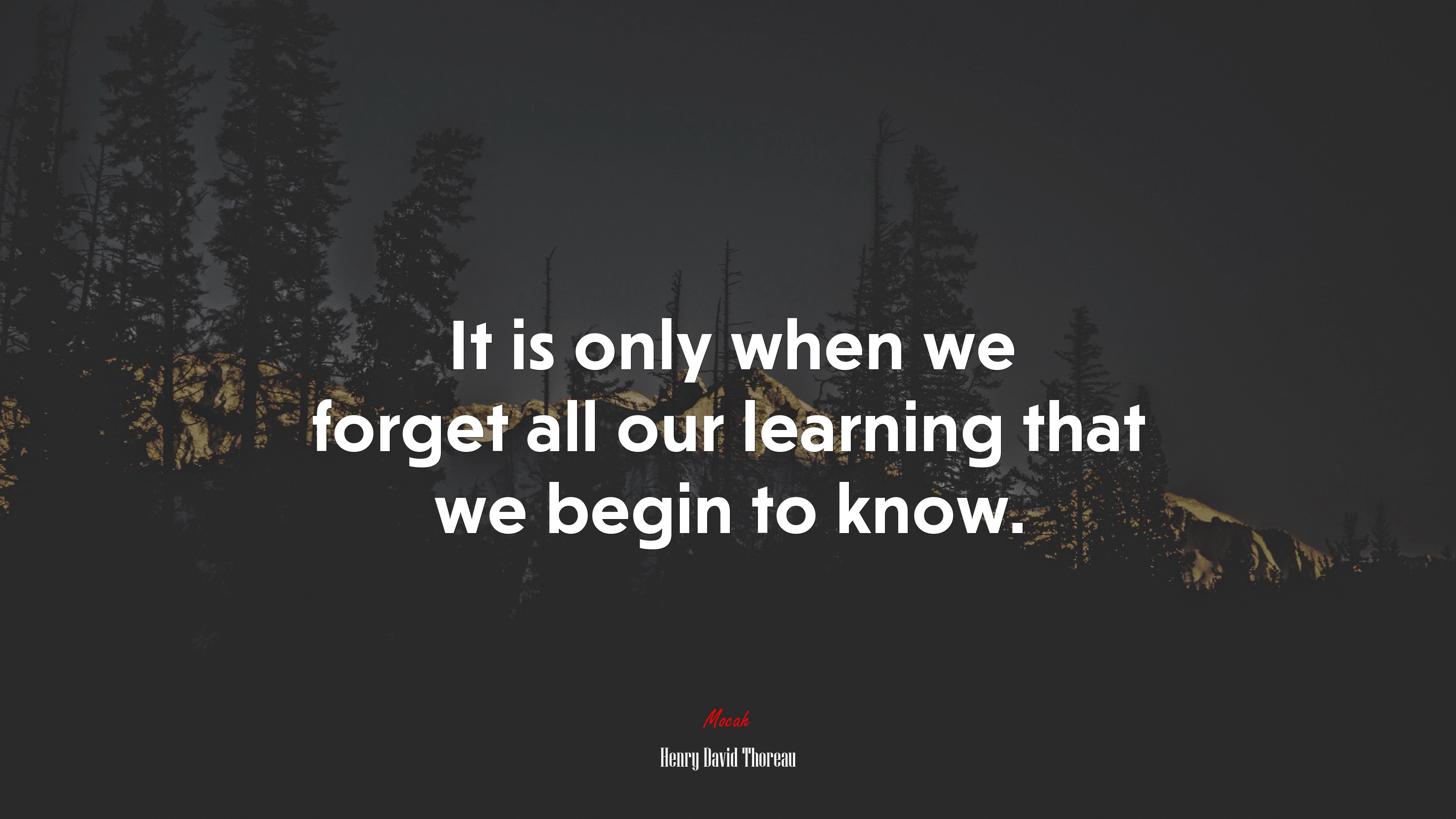 It is only when we forget all our learning that we begin to know. | Henry David Thoreau quote HD Wallpaper