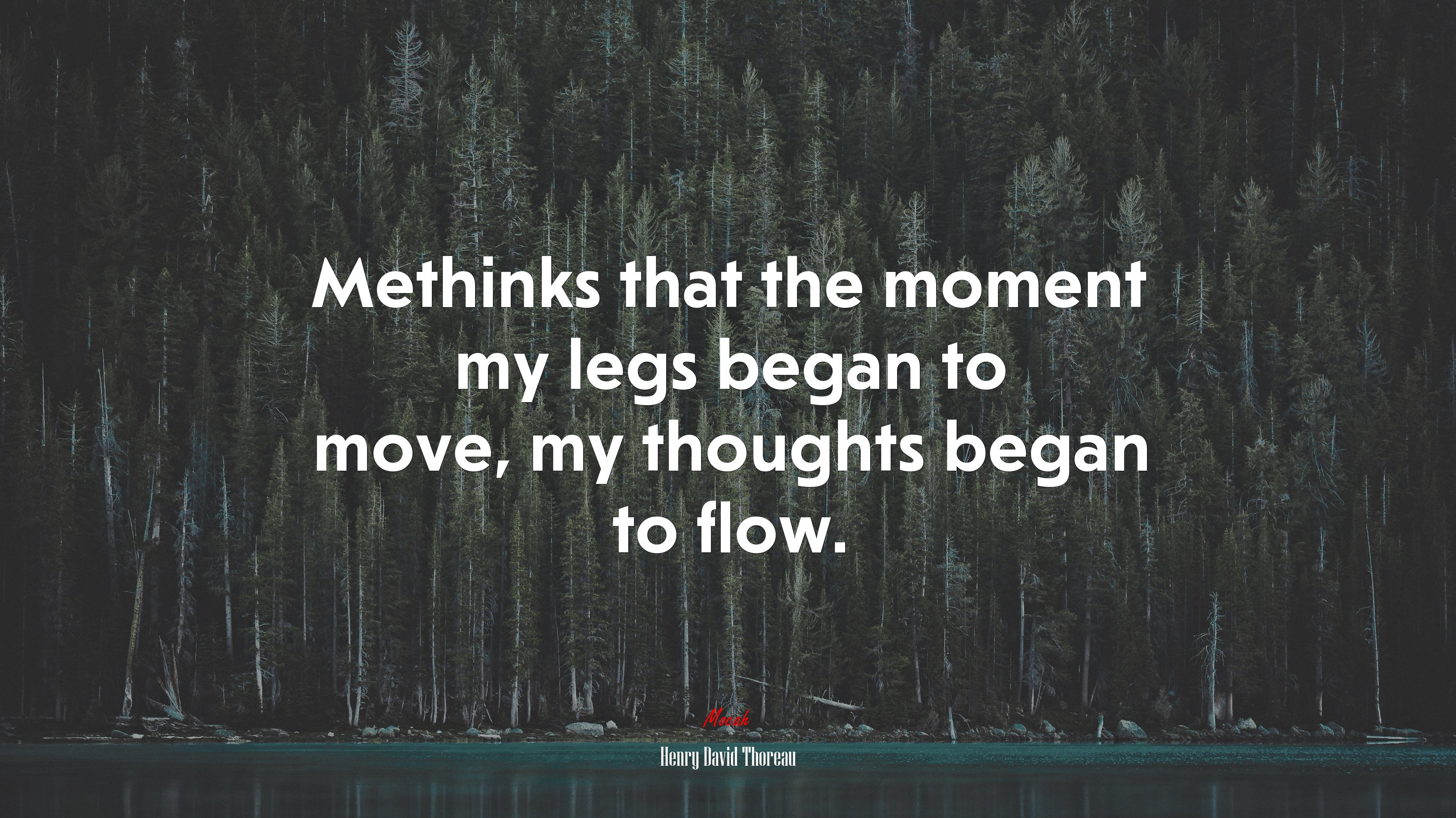Methinks that the moment my legs began to move, my thoughts began to flow. | Henry David Thoreau quote HD Wallpaper