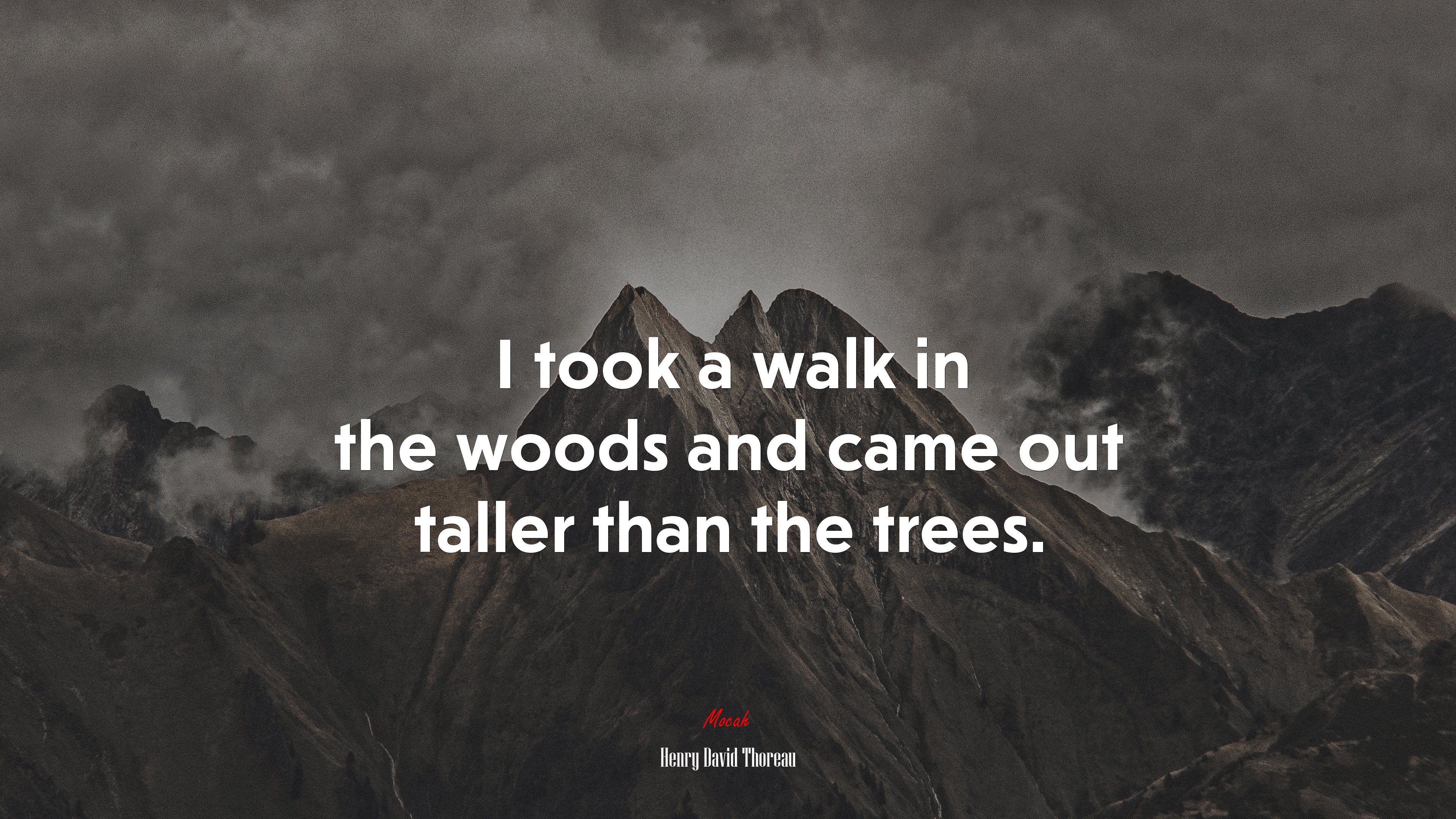 I took a walk in the woods and came out taller than the trees. | Henry David Thoreau quote HD Wallpaper