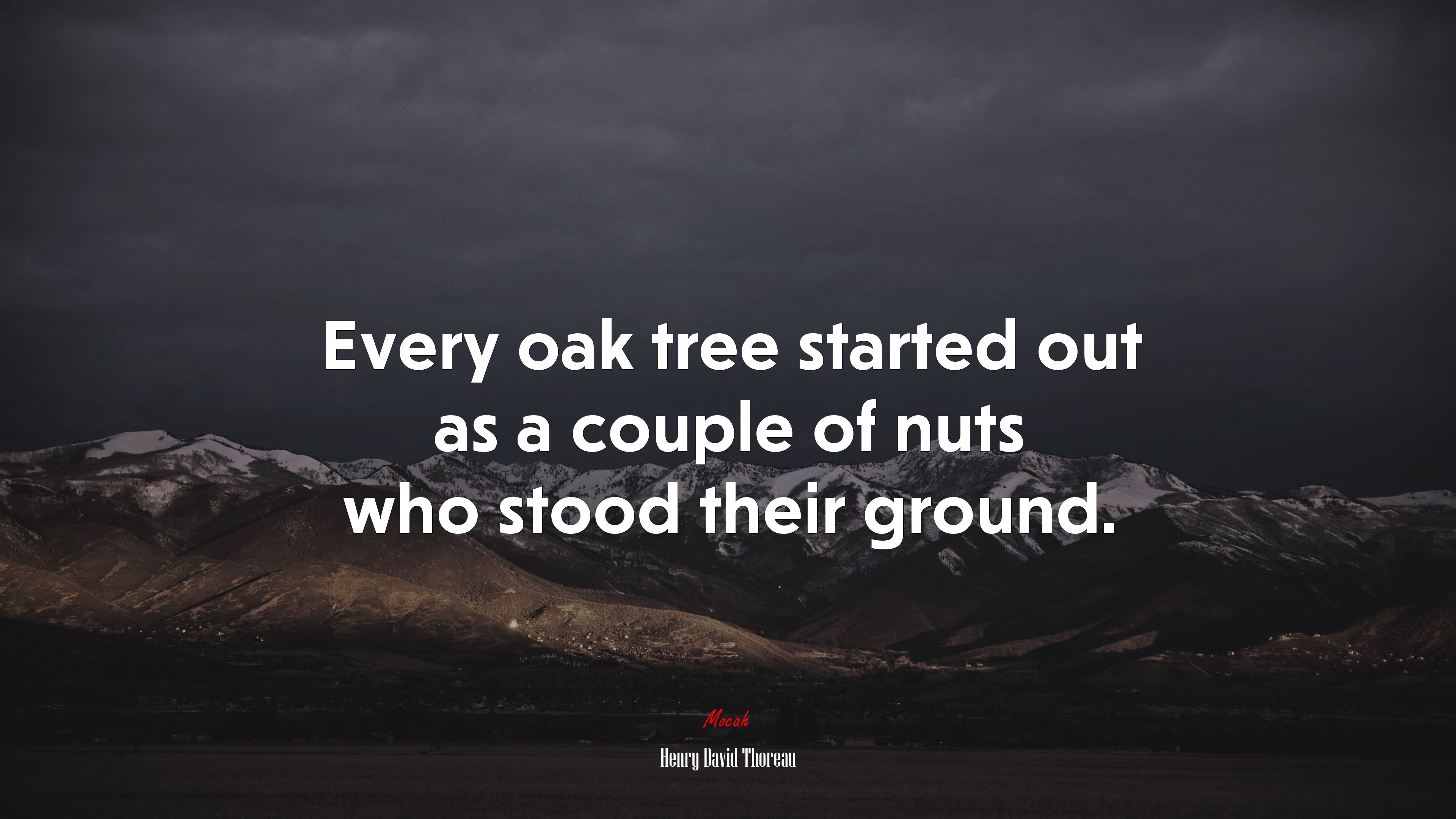 Every oak tree started out as a couple of nuts who stood their ground. | Henry David Thoreau quote HD Wallpaper