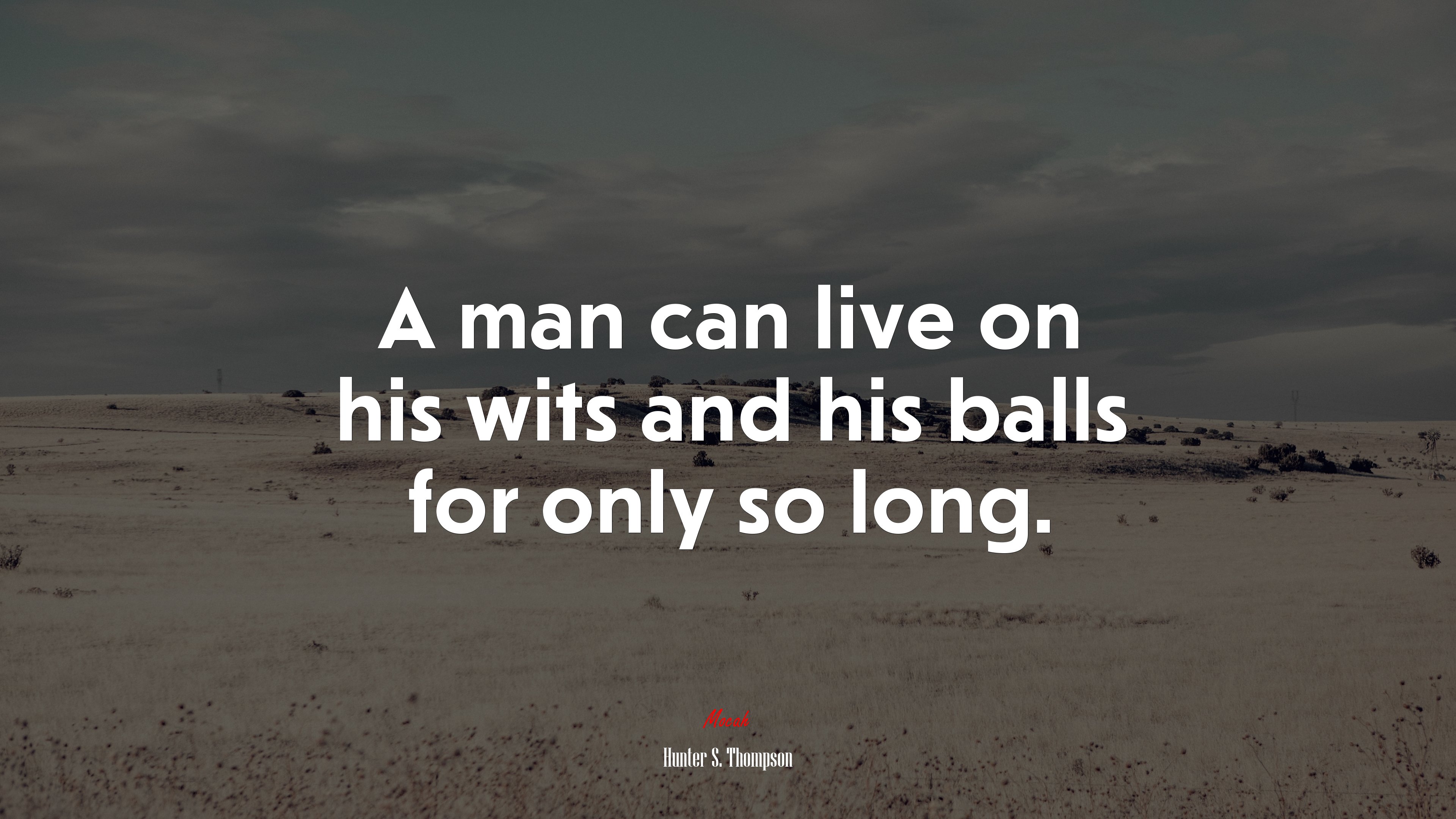 A man can live on his wits and his balls for only so long. | Hunter S. Thompson quote HD Wallpaper