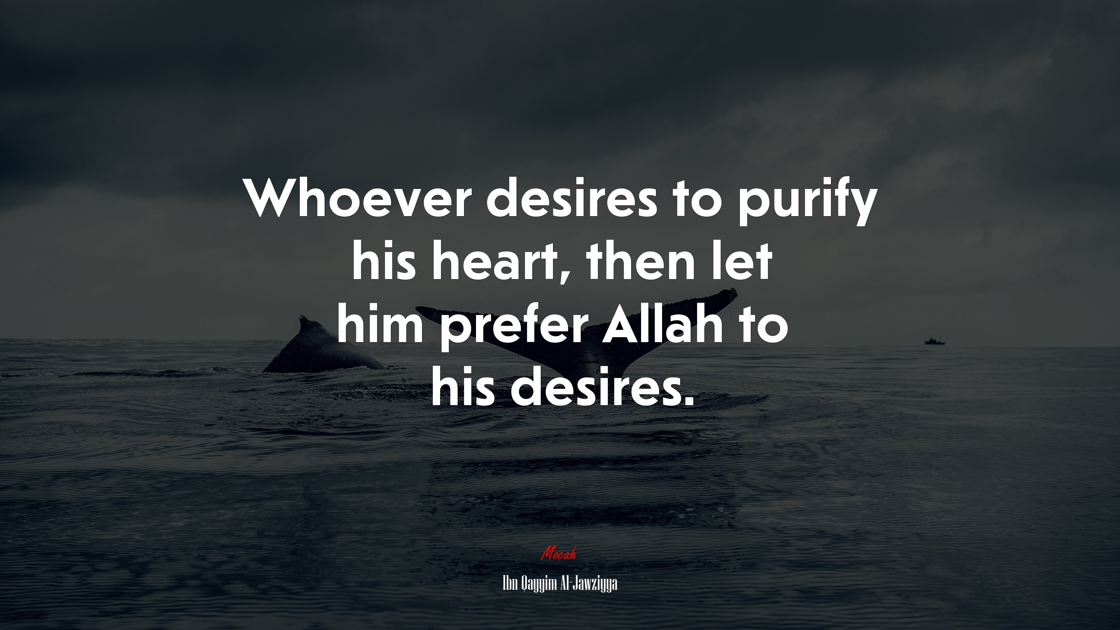 Whoever desires to purify his heart, then let him prefer Allah to his desires. | Ibn Qayyim Al-Jawziyya quote HD Wallpaper