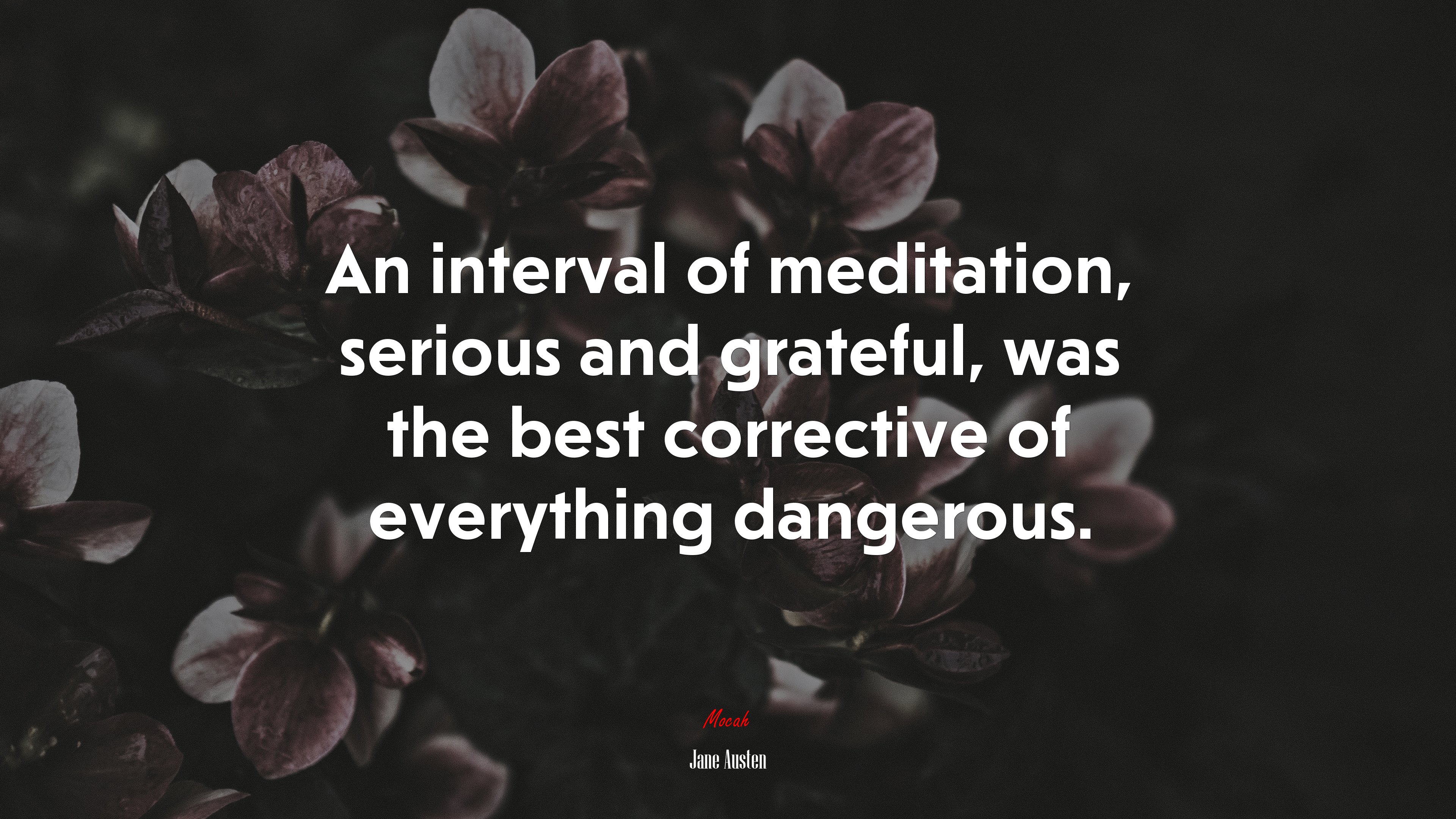 An interval of meditation, serious and grateful, was the best corrective of everything dangerous. | Jane Austen quote HD Wallpaper