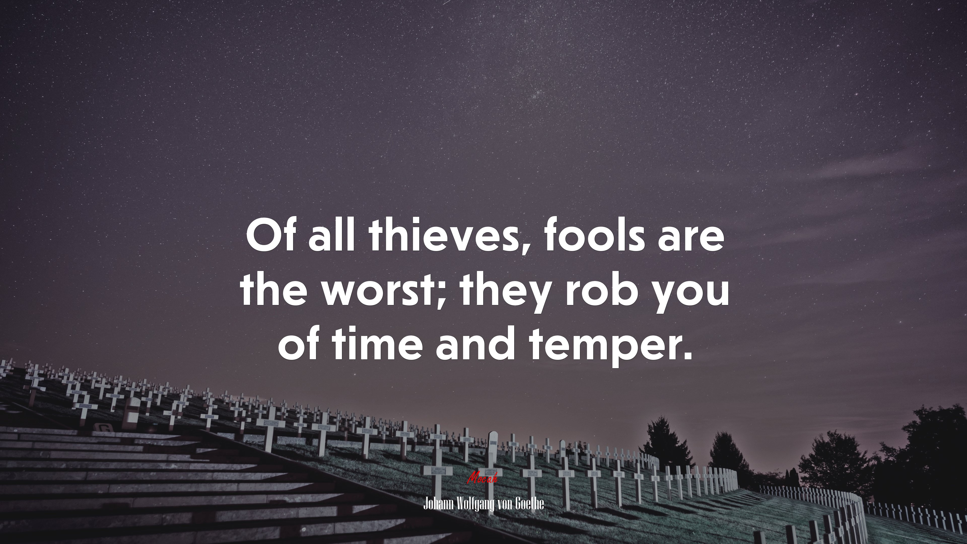 Of all thieves, fools are the worst; they rob you of time and temper. | Johann Wolfgang von Goethe quote HD Wallpaper