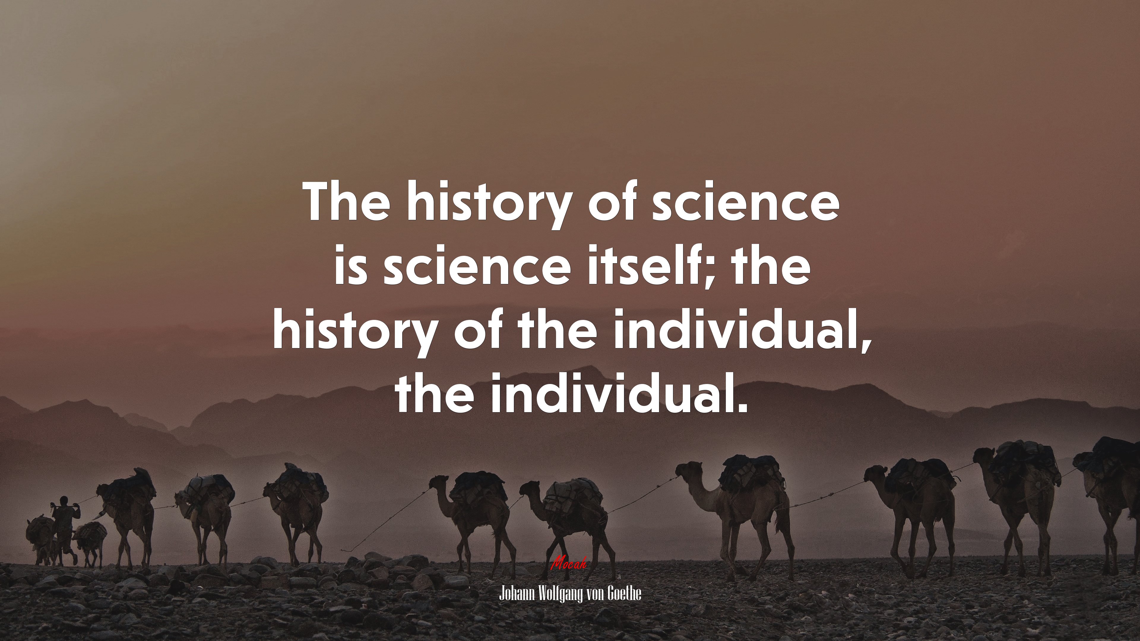 The history of science is science itself; the history of the individual, the individual. | Johann Wolfgang von Goethe quote HD Wallpaper