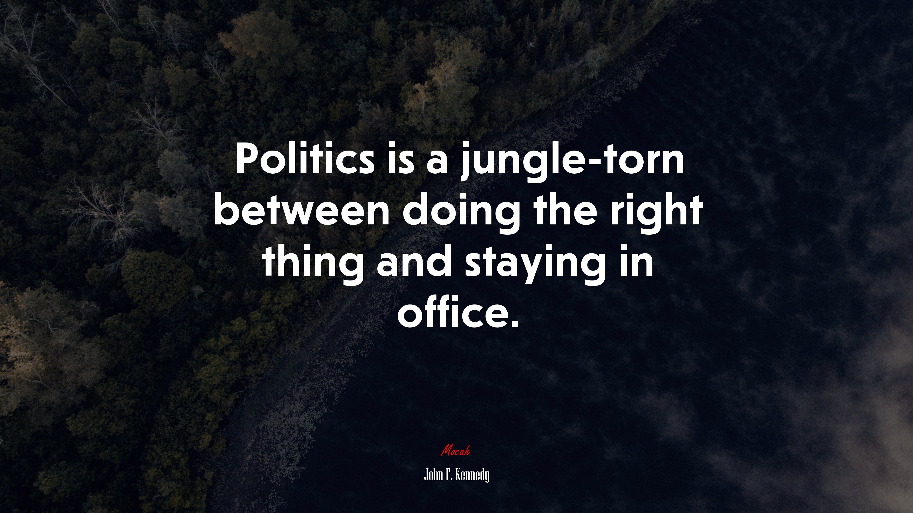 Politics is a jungle-torn between doing the right thing and staying in office. | John F. Kennedy quote HD Wallpaper