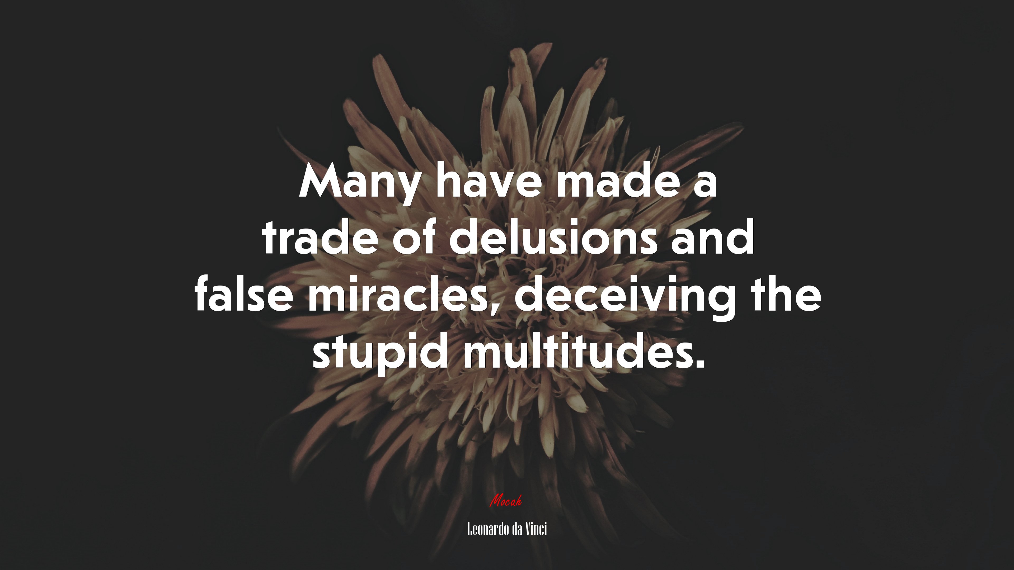 Many have made a trade of delusions and false miracles, deceiving the stupid multitudes. | Leonardo da Vinci quote HD Wallpaper