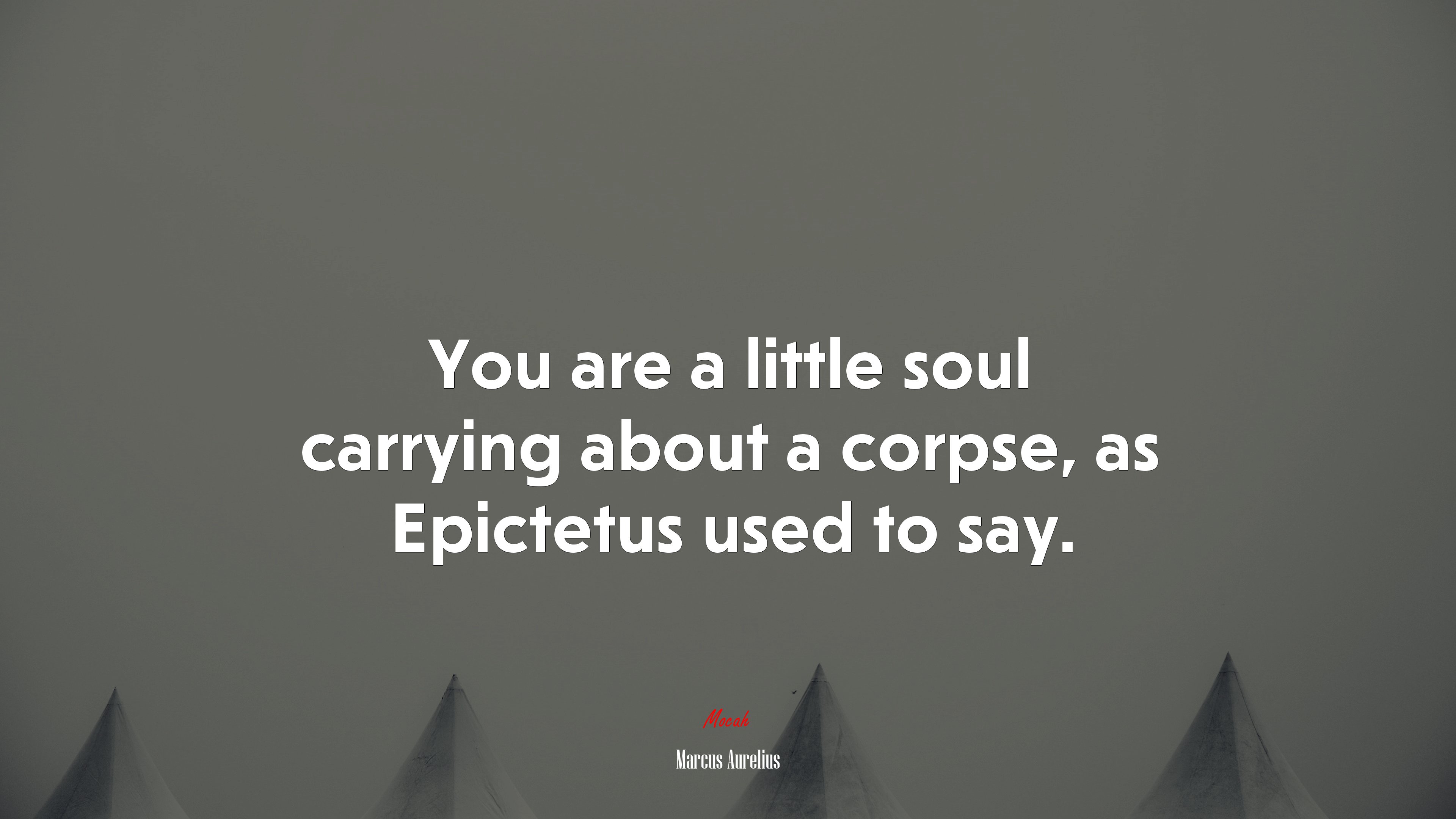 You are a little soul carrying about a corpse, as Epictetus used to say. | Marcus Aurelius quote HD Wallpaper
