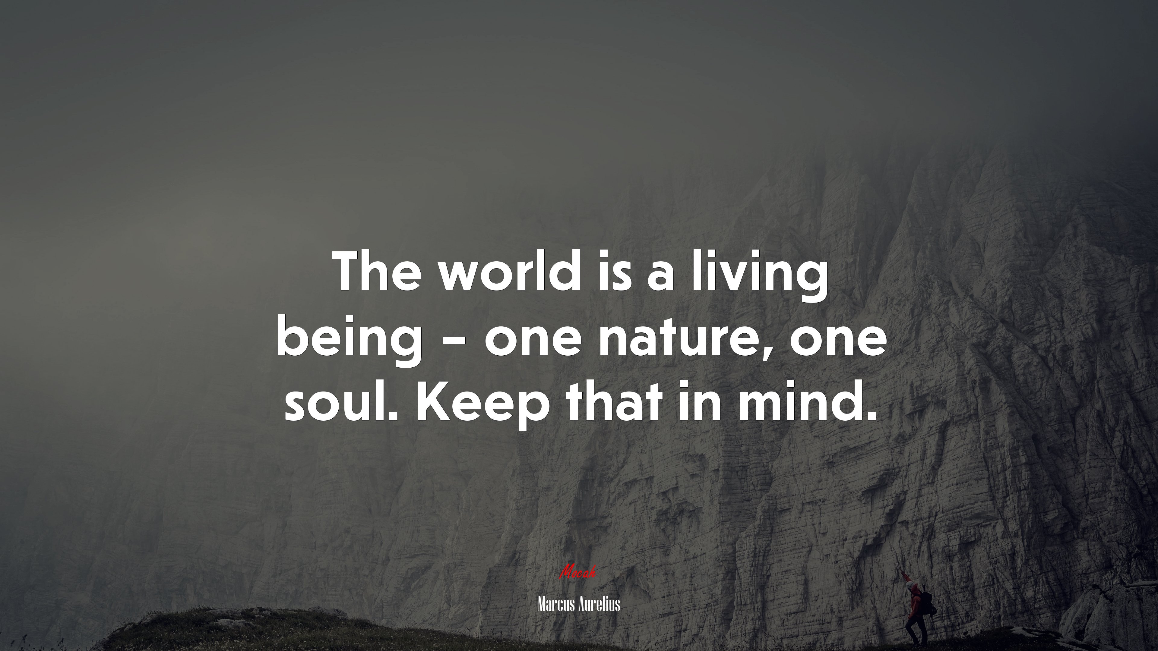 The world is a living being – one nature, one soul. Keep that in mind. | Marcus Aurelius quote HD Wallpaper