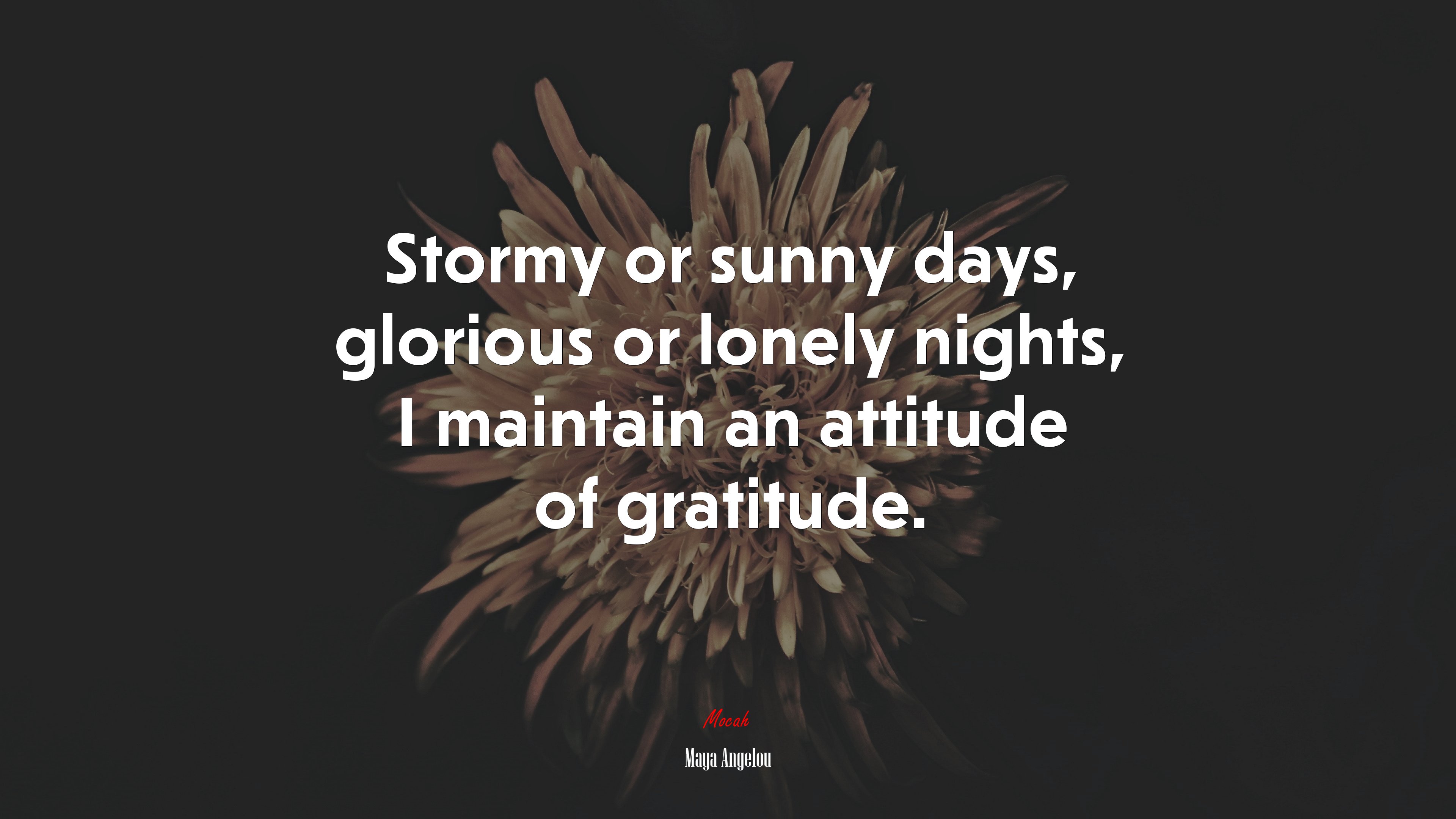 Stormy or sunny days, glorious or lonely nights, I maintain an attitude of gratitude. | Maya Angelou quote HD Wallpaper
