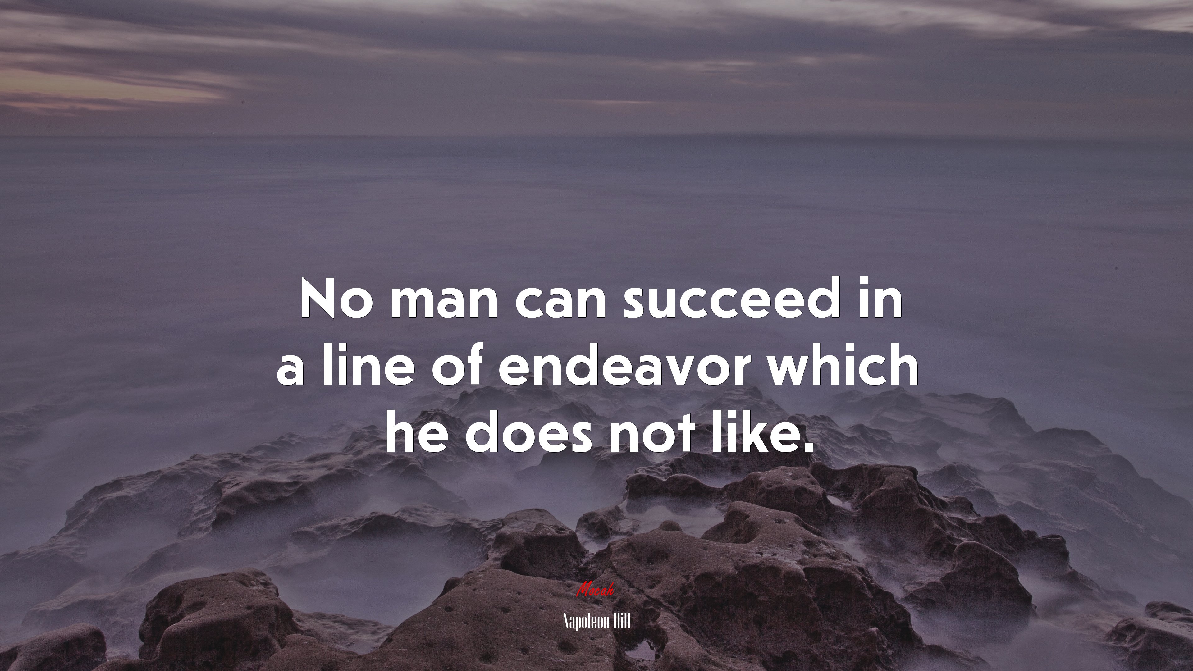 No man can succeed in a line of endeavor which he does not like. | Napoleon Hill quote HD Wallpaper