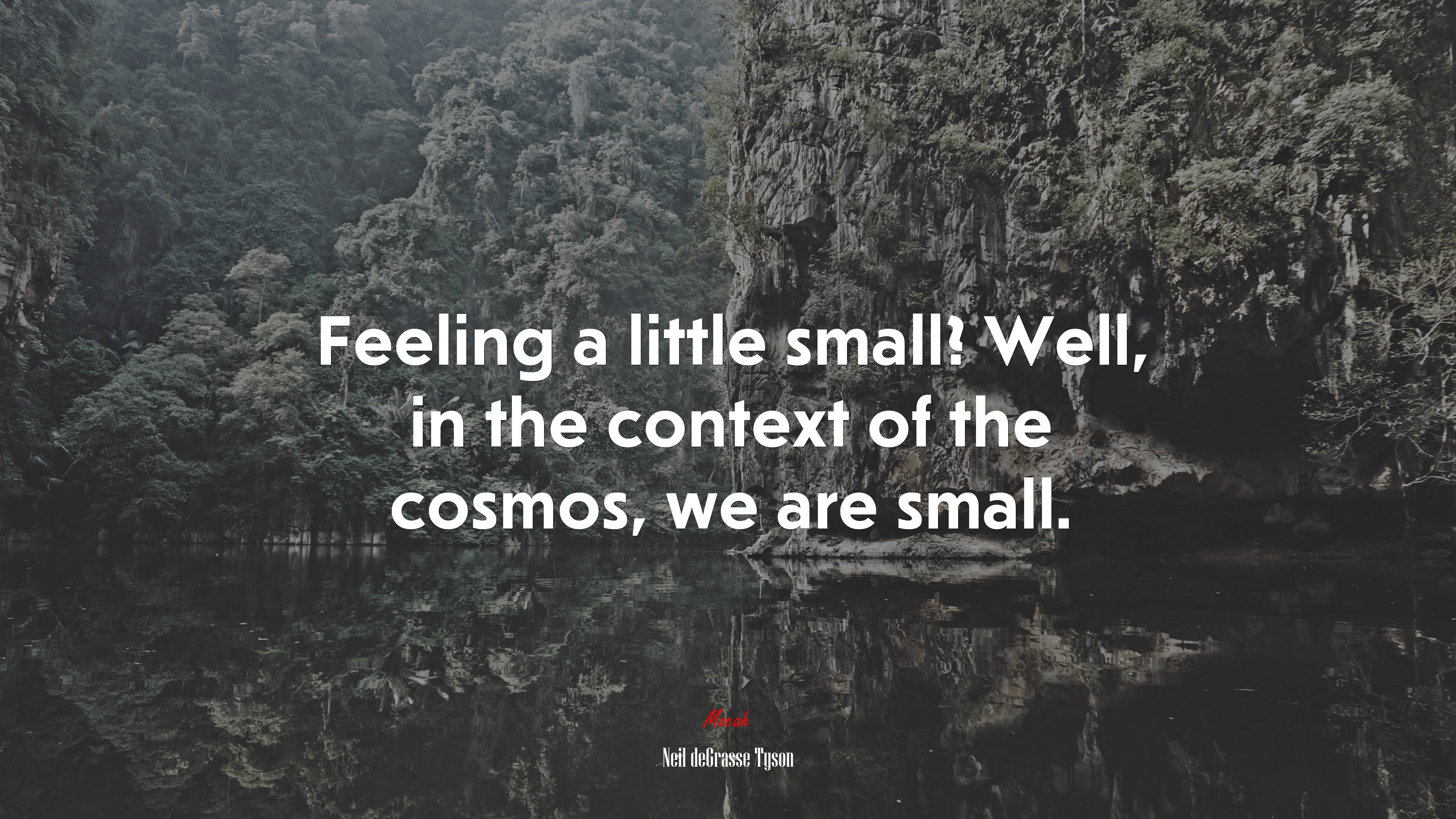 Feeling a little small? Well, in the context of the cosmos, we are small. | Neil deGrasse Tyson quote HD Wallpaper