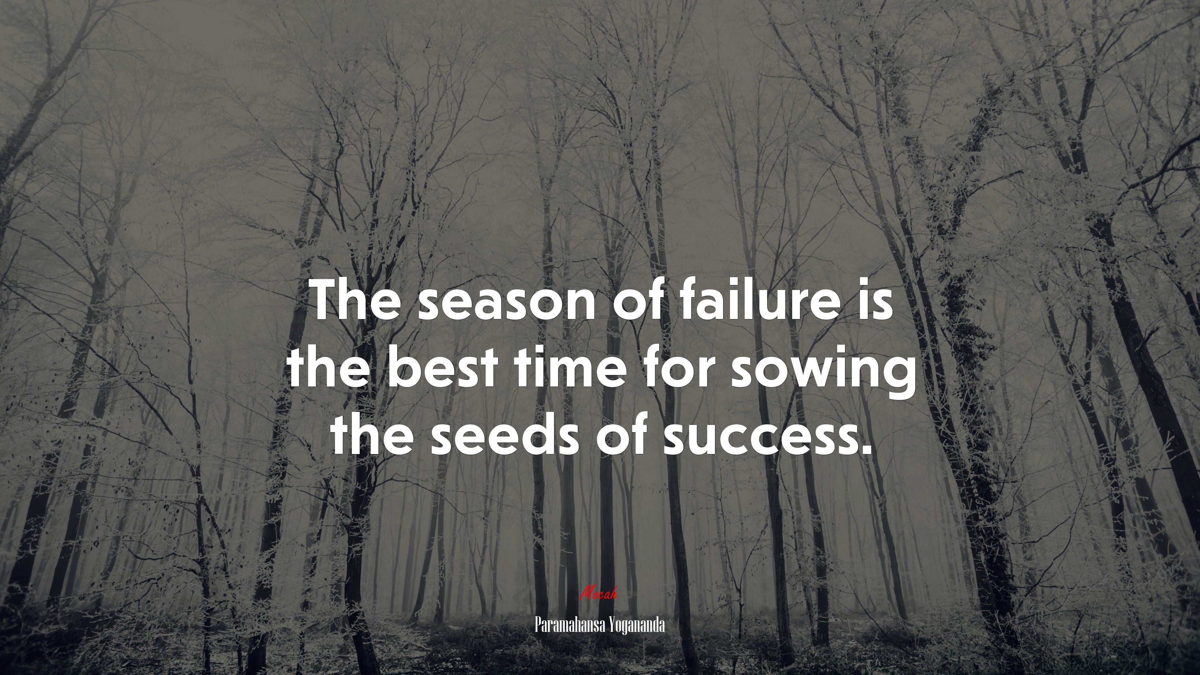 The season of failure is the best time for sowing the seeds of success. | Paramahansa Yogananda quote HD Wallpaper