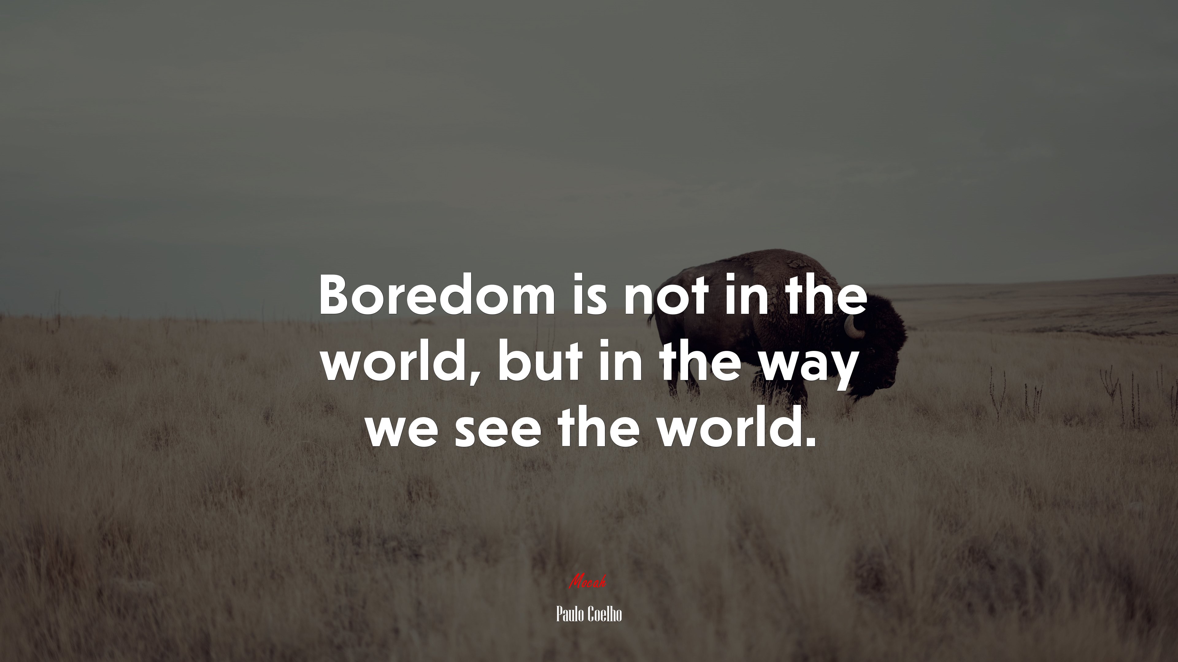 Boredom is not in the world, but in the way we see the world. | Paulo Coelho quote HD Wallpaper