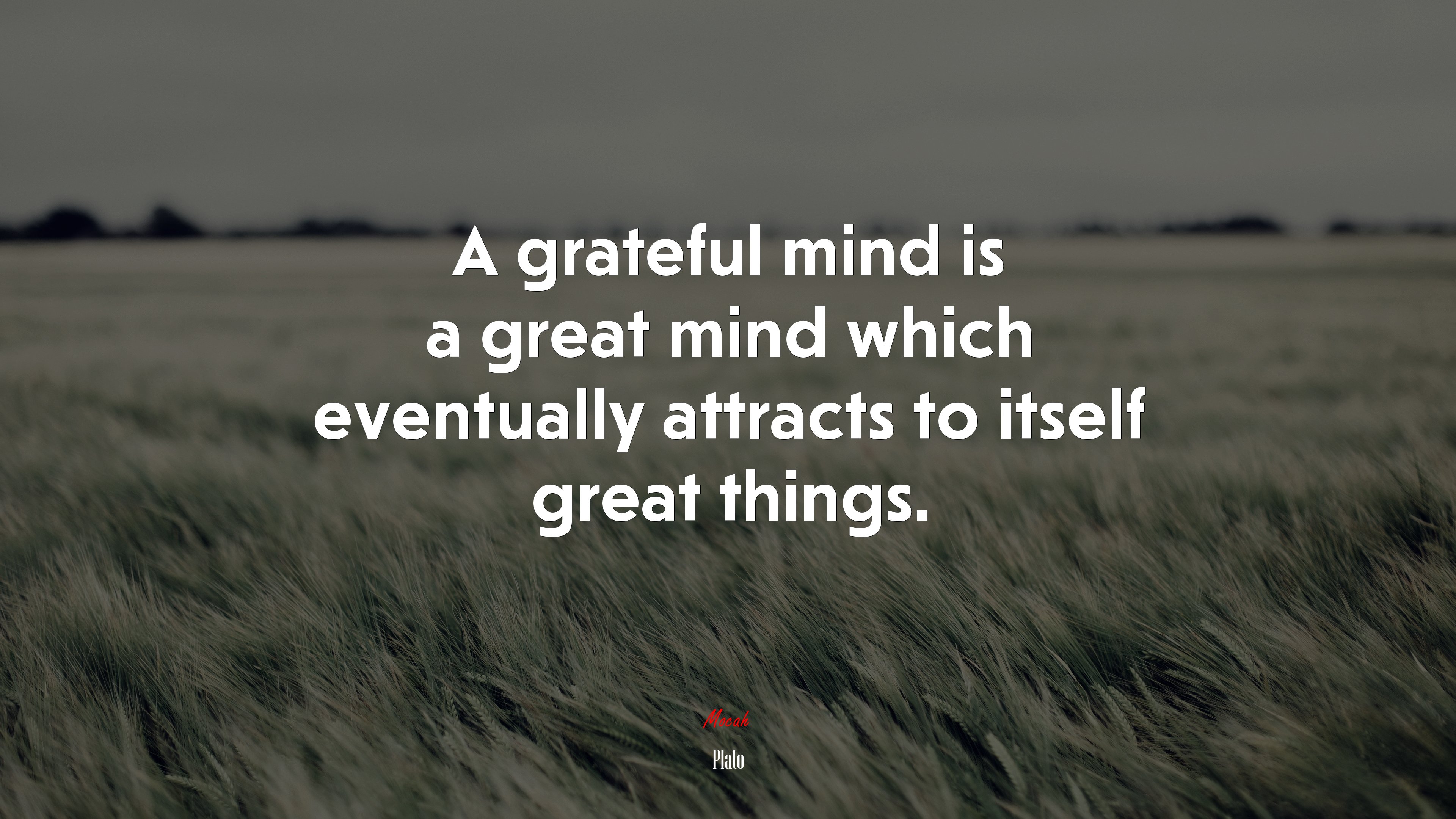 A grateful mind is a great mind which eventually attracts to itself great things. | Plato quote HD Wallpaper