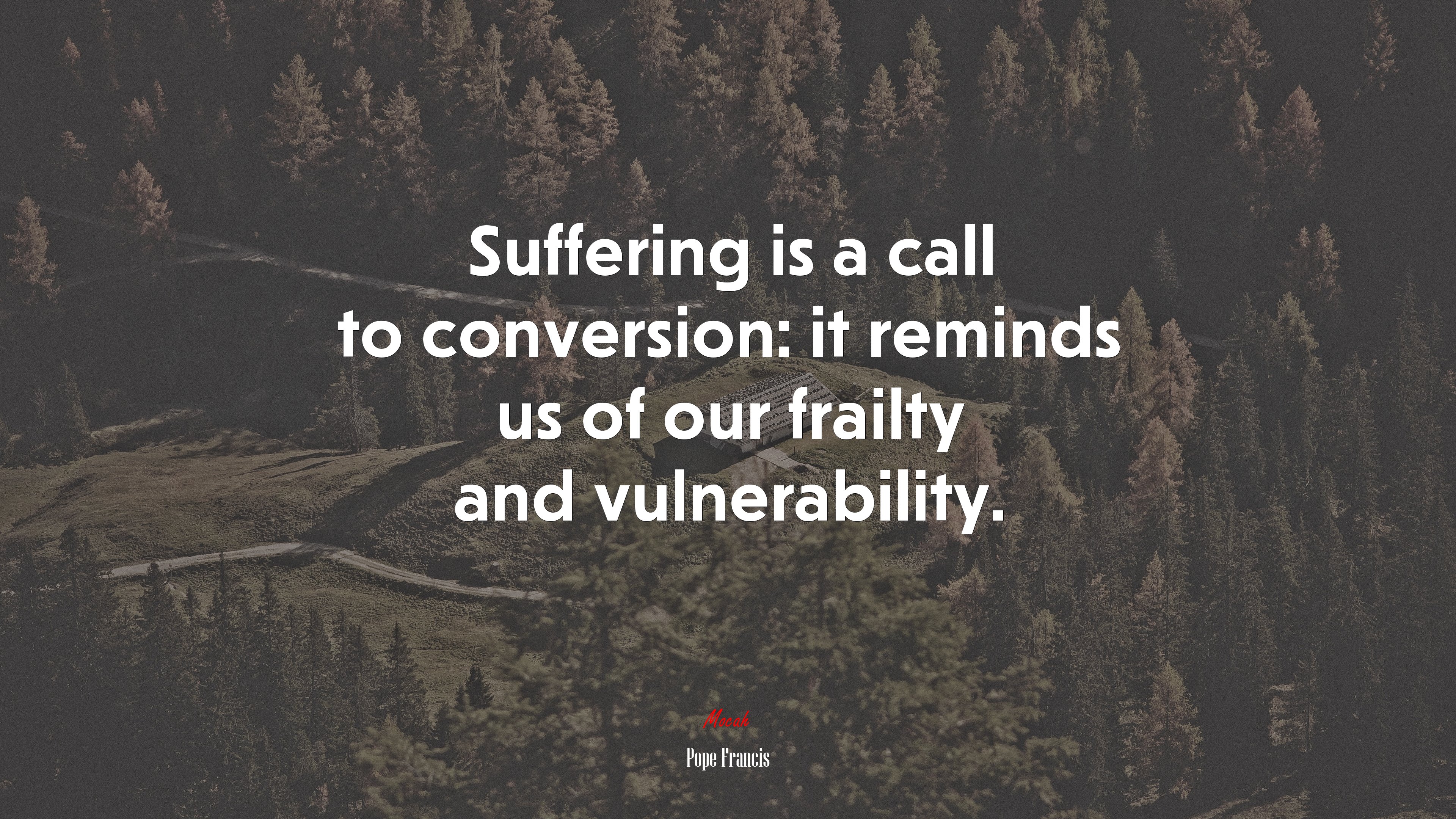Suffering is a call to conversion: it reminds us of our frailty and vulnerability. | Pope Francis quote HD Wallpaper