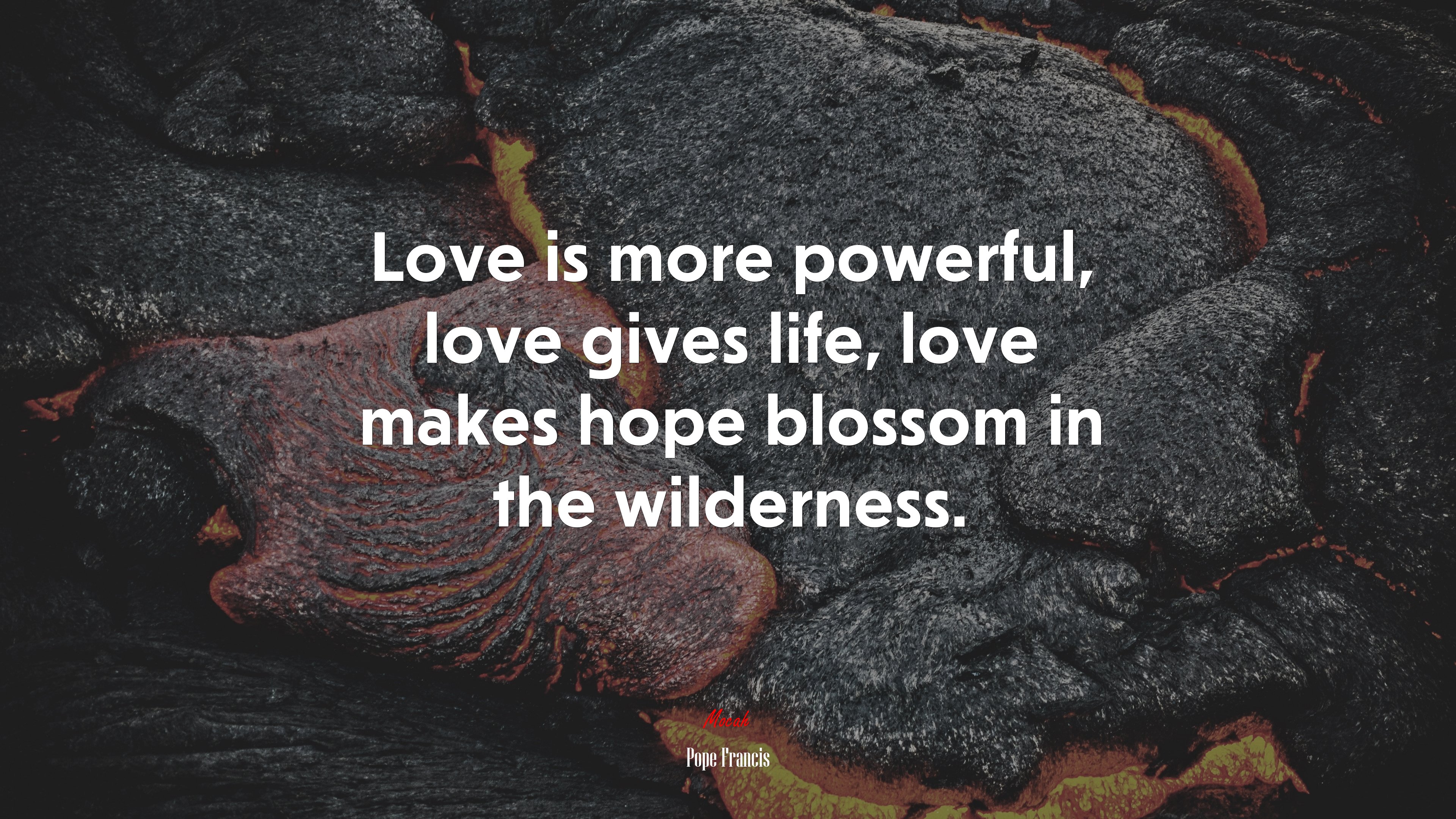 Love is more powerful, love gives life, love makes hope blossom in the wilderness. | Pope Francis quote HD Wallpaper