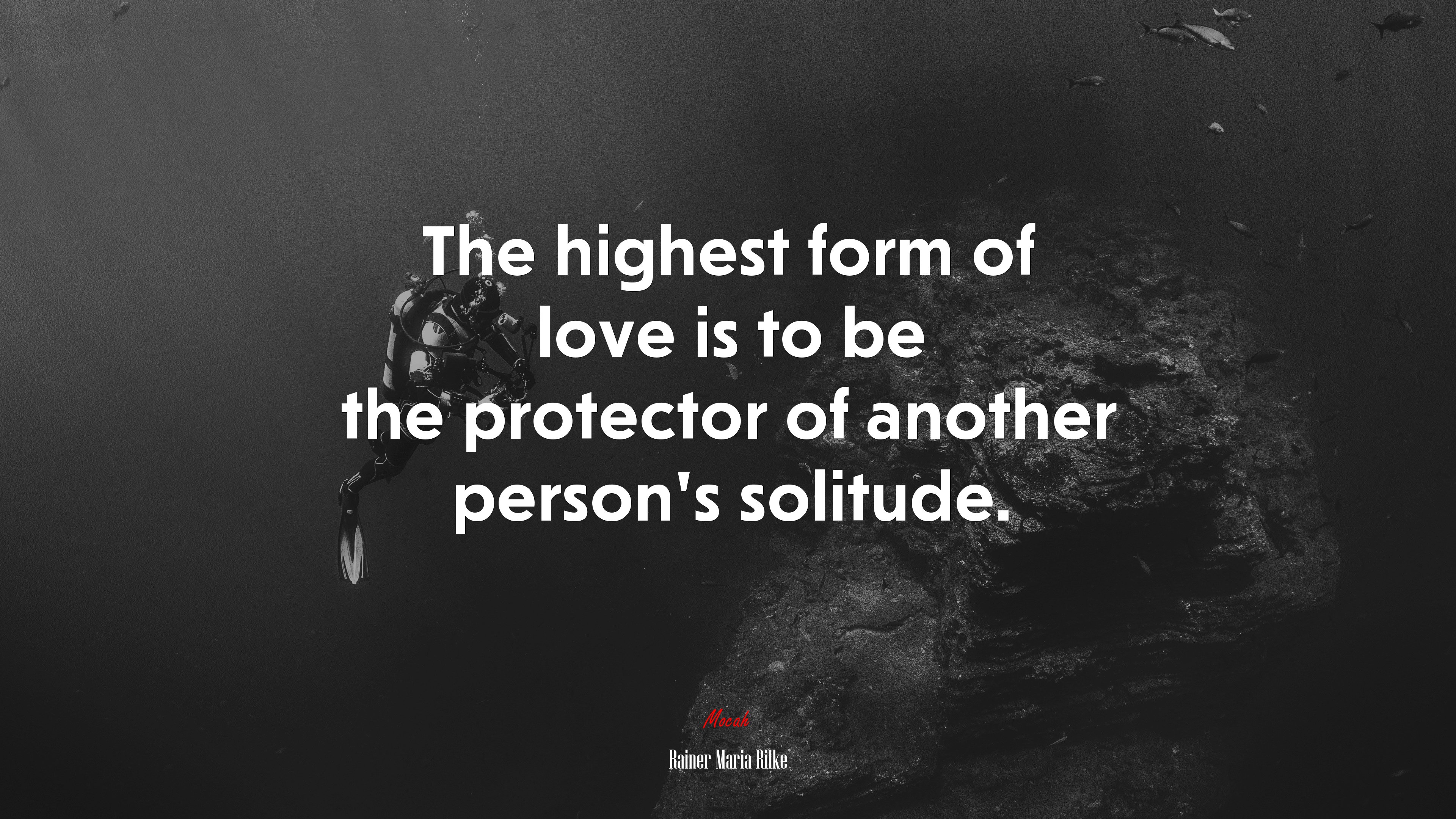 The highest form of love is to be the protector of another person’s solitude. | Rainer Maria Rilke quote HD Wallpaper