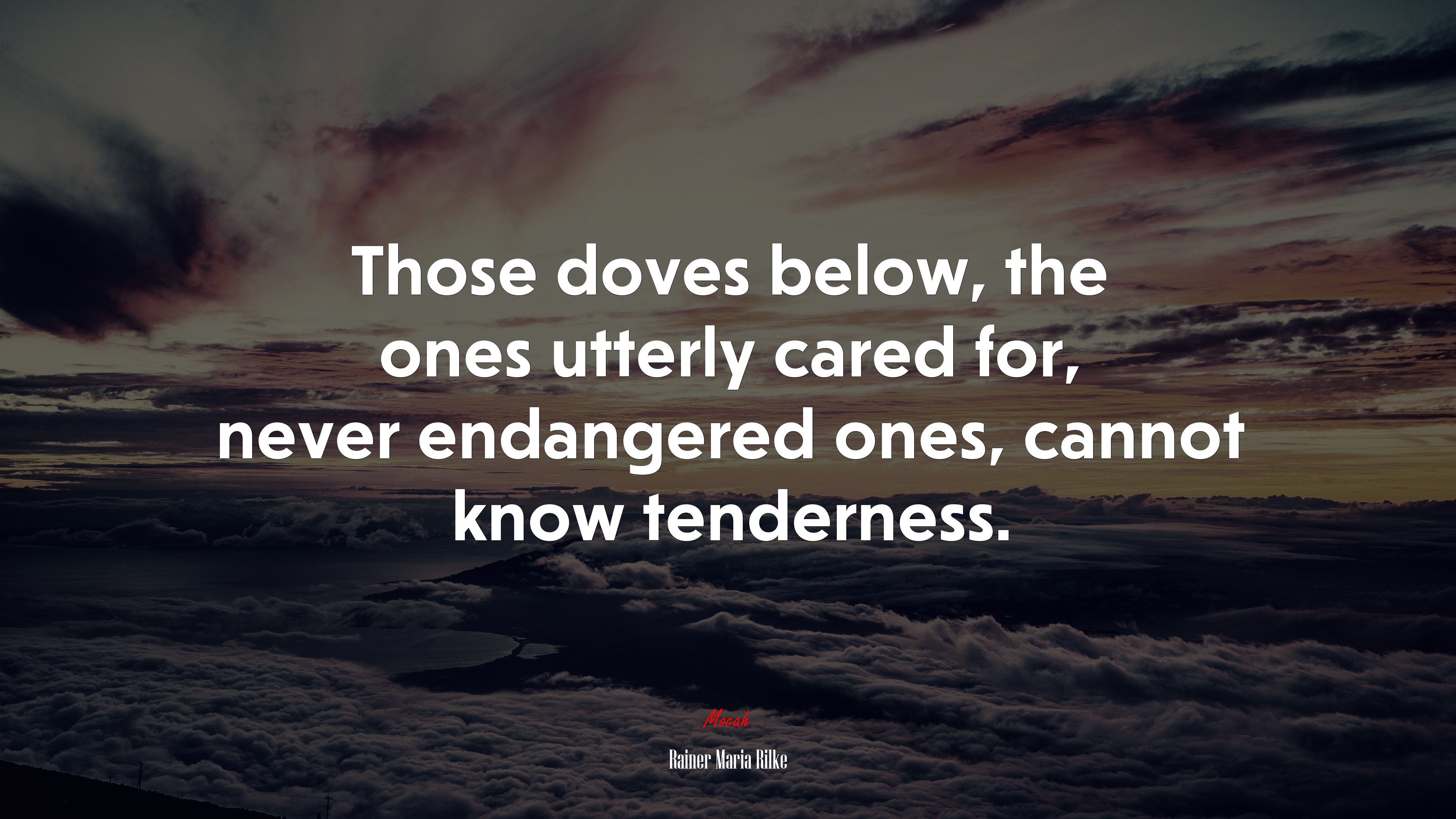 Those doves below, the ones utterly cared for, never endangered ones, cannot know tenderness. | Rainer Maria Rilke quote HD Wallpaper