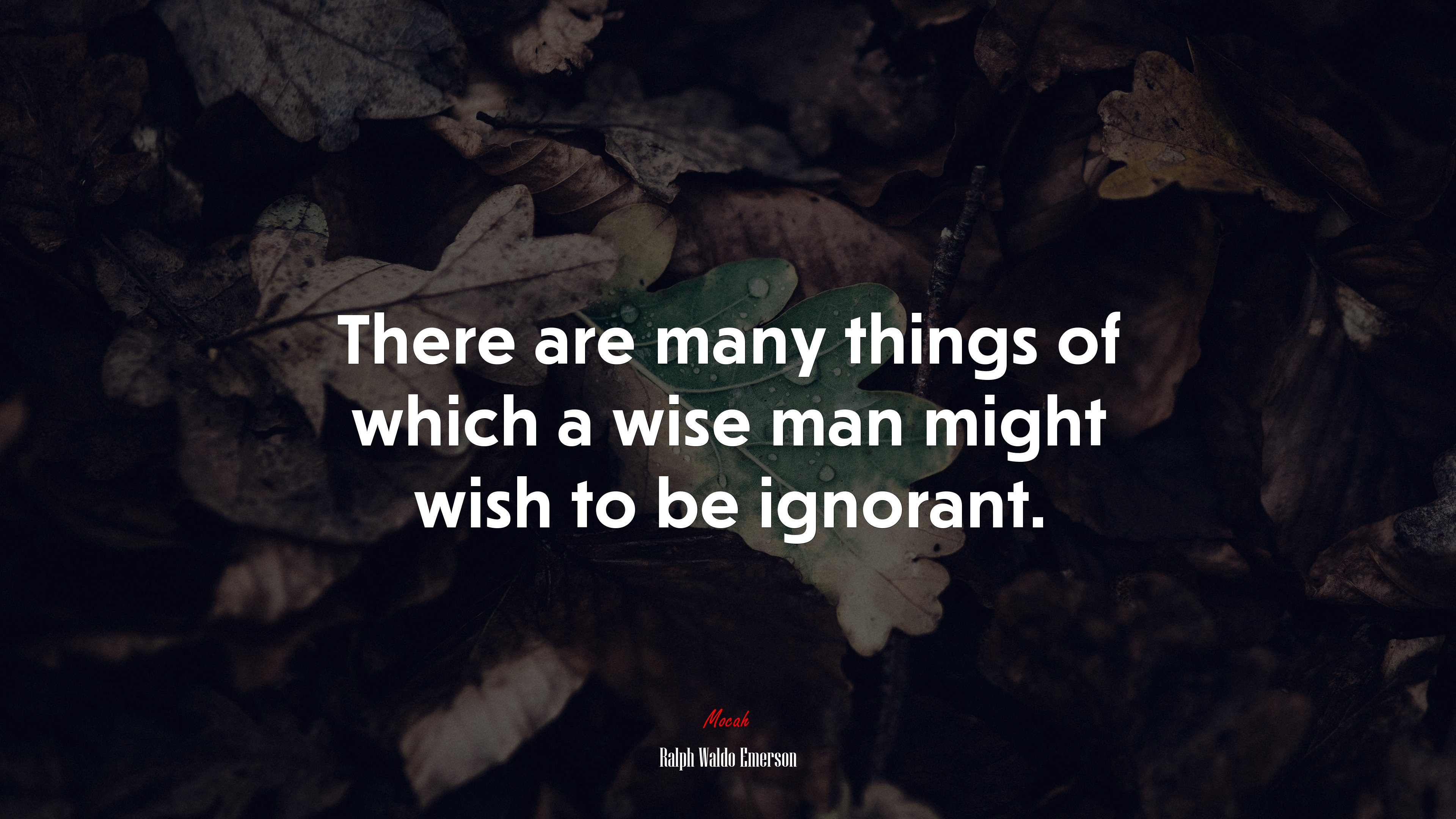 There are many things of which a wise man might wish to be ignorant. | Ralph Waldo Emerson quote HD Wallpaper