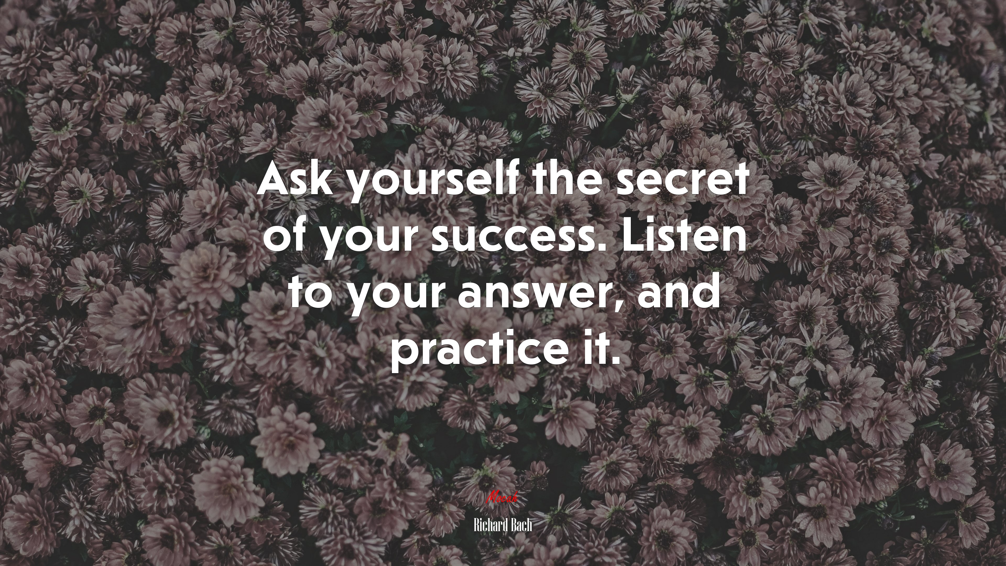 Ask yourself the secret of your success. Listen to your answer, and practice it. | Richard Bach quote HD Wallpaper