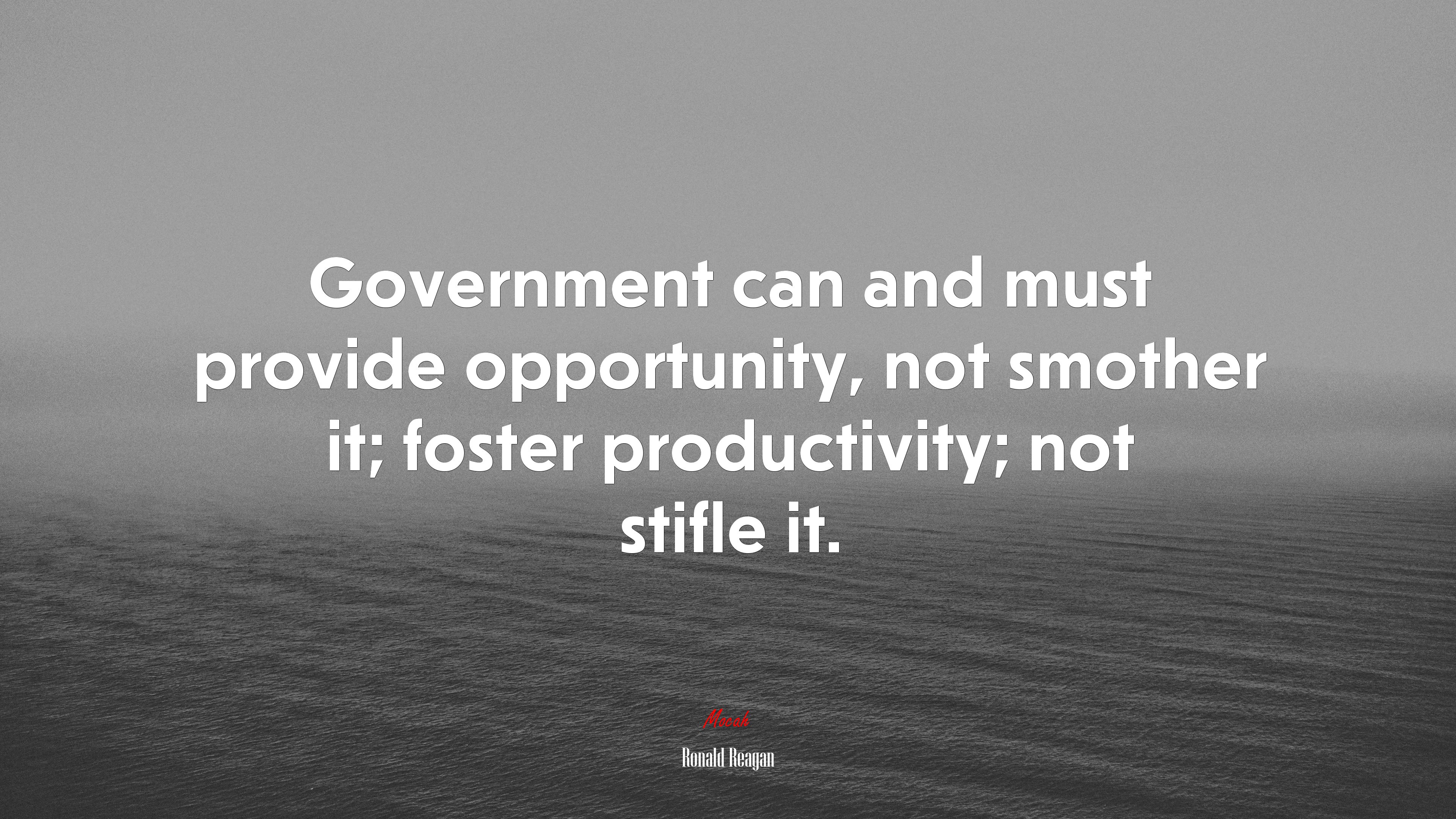 Government can and must provide opportunity, not smother it; foster productivity; not stifle it. | Ronald Reagan quote HD Wallpaper