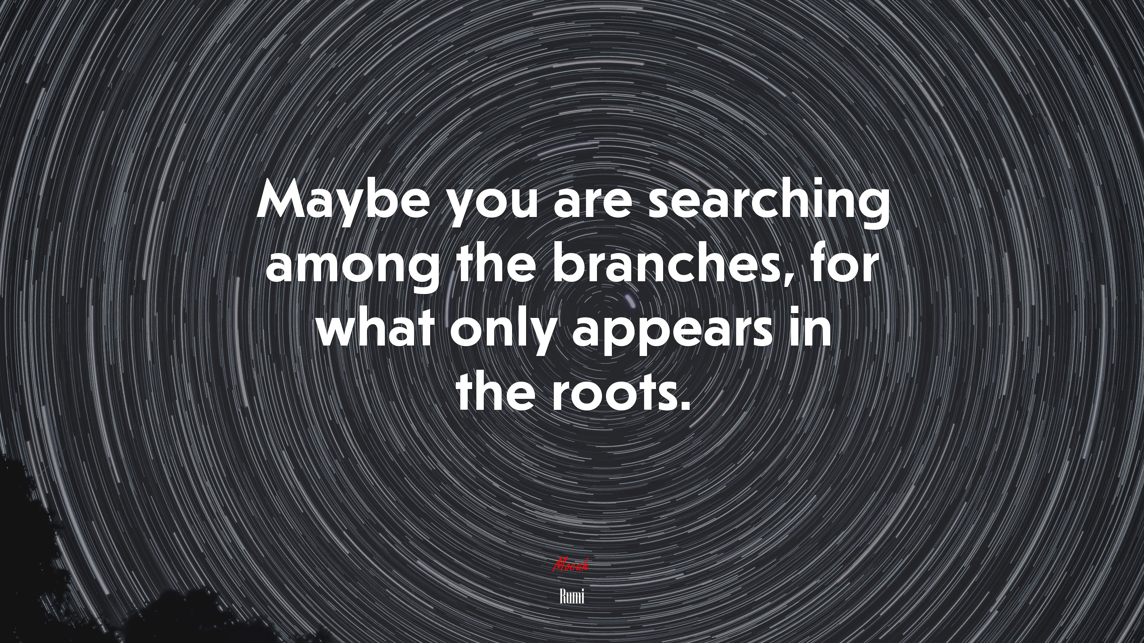 Maybe you are searching among the branches, for what only appears in the roots. | Rumi quote HD Wallpaper