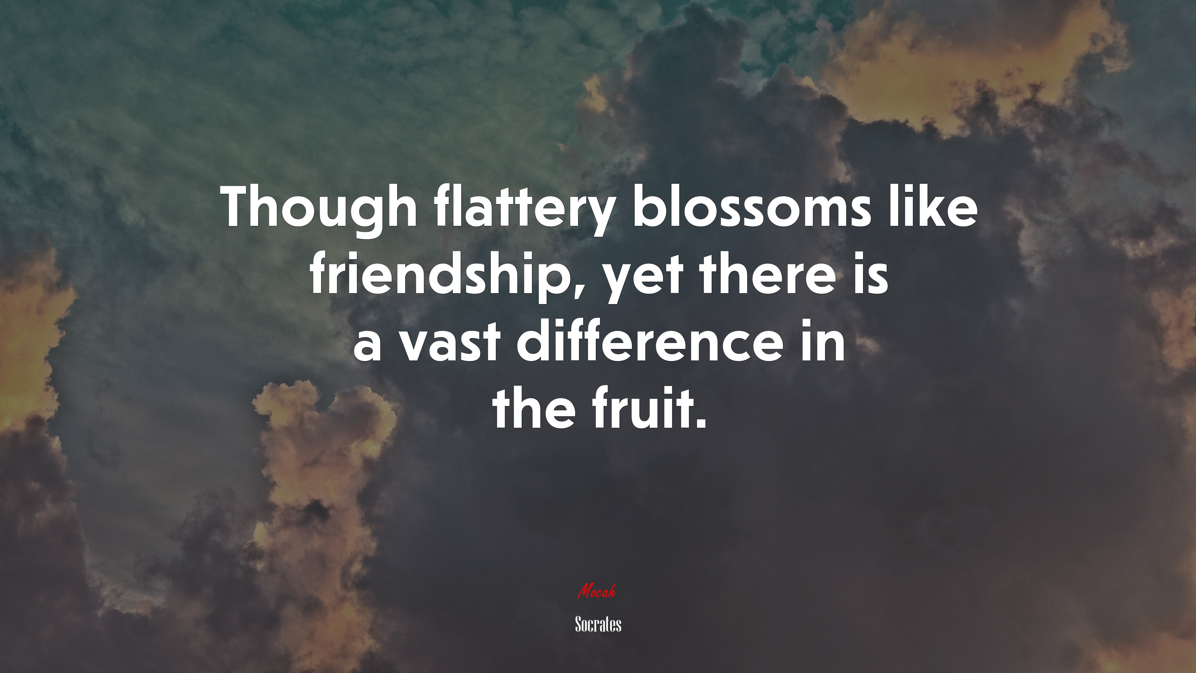 Though flattery blossoms like friendship, yet there is a vast difference in the fruit. | Socrates quote HD Wallpaper