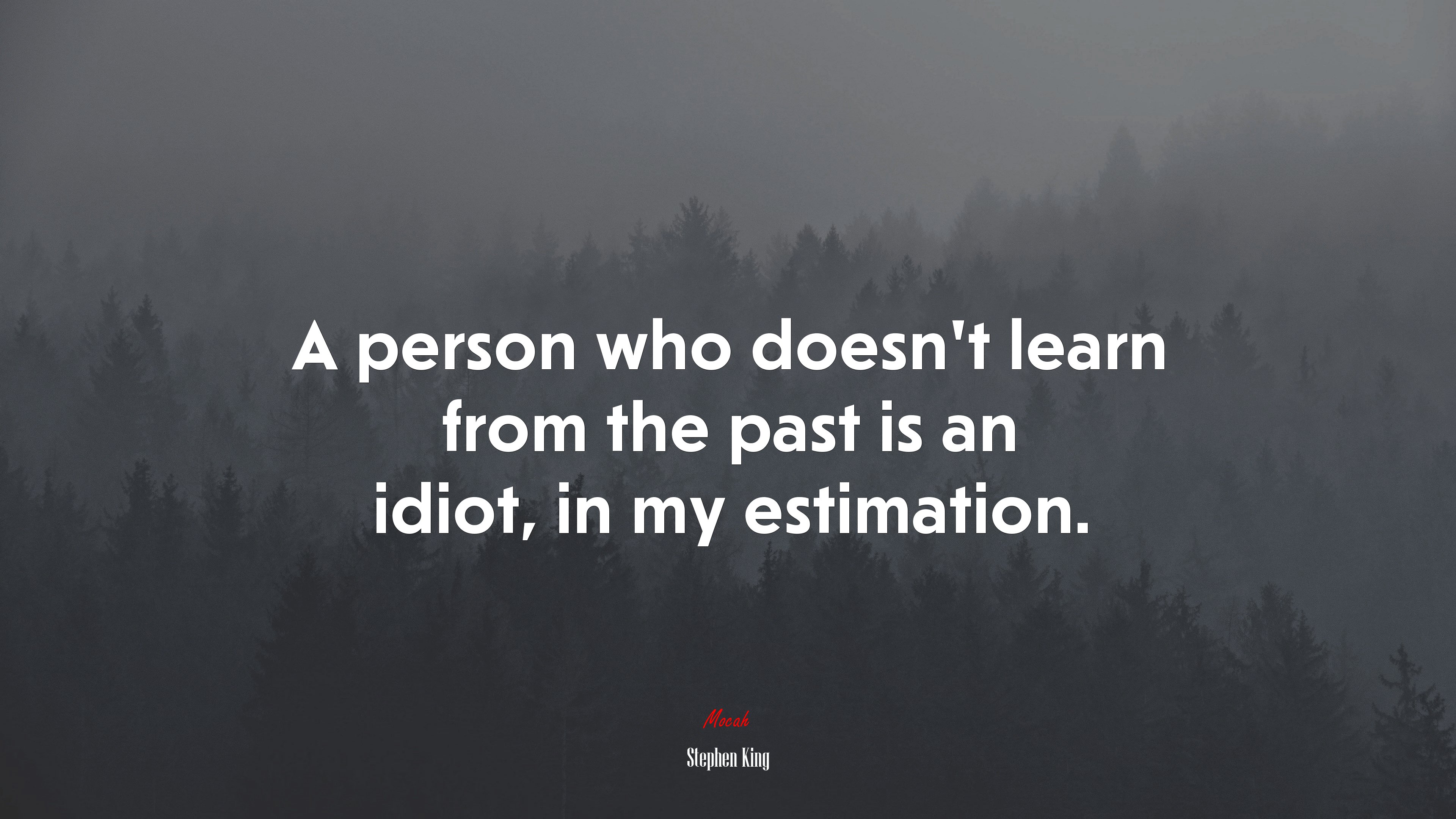 A person who doesn’t learn from the past is an idiot, in my estimation. | Stephen King quote HD Wallpaper