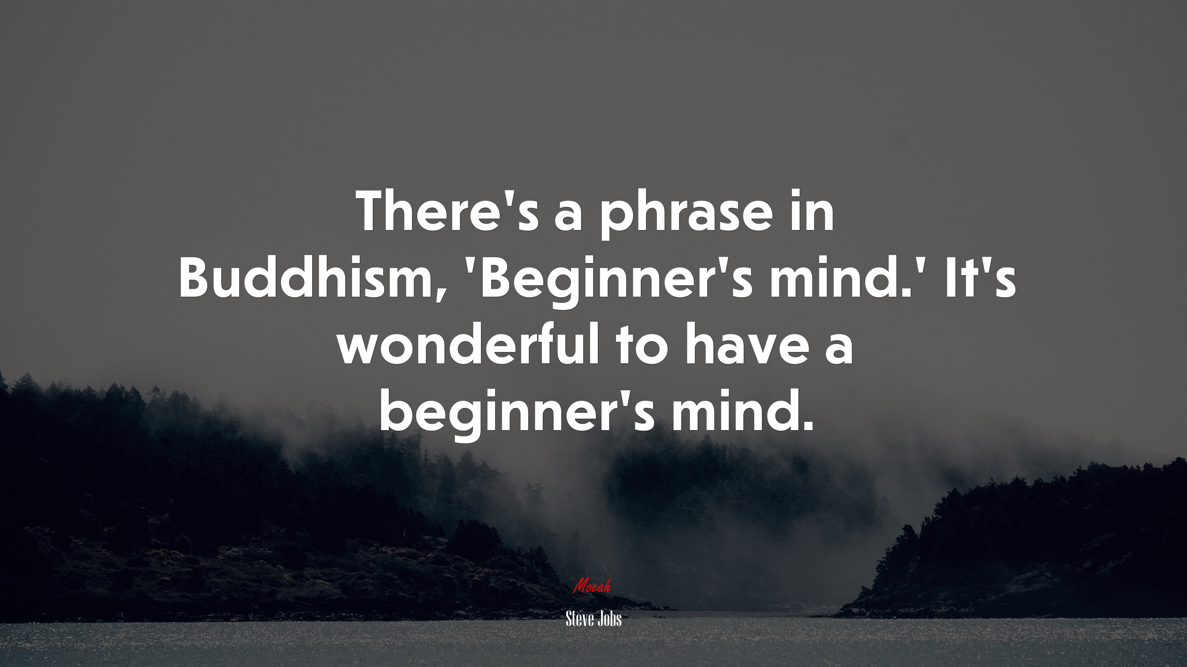 There’s a phrase in Buddhism, ‘Beginner’s mind.’ It’s wonderful to have a beginner’s mind. | Steve Jobs quote HD Wallpaper