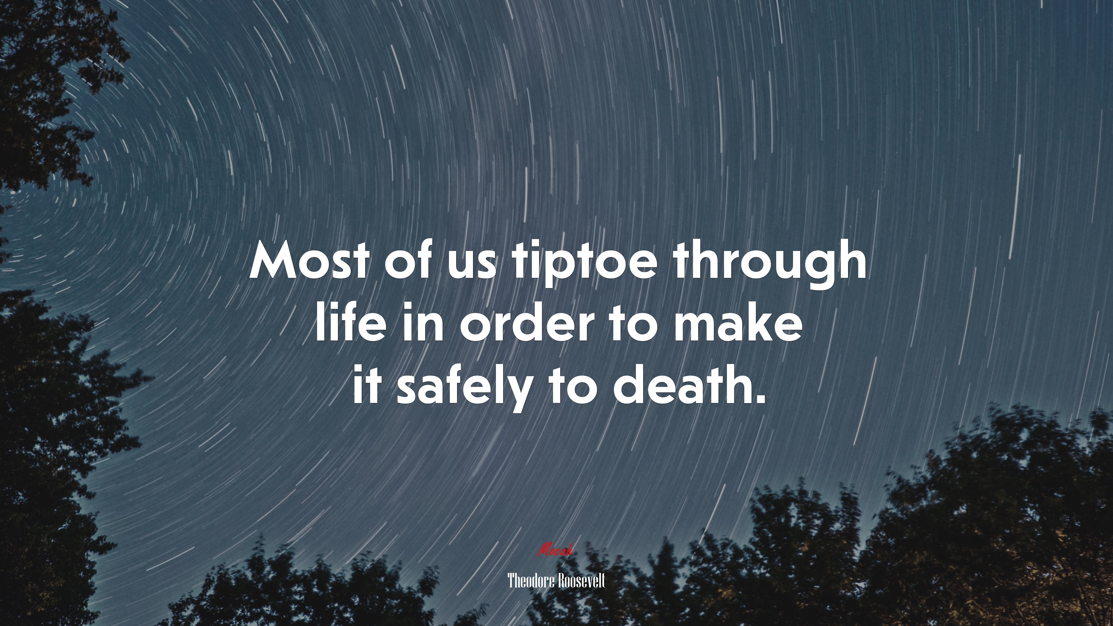 Most of us tiptoe through life in order to make it safely to death. | Theodore Roosevelt quote HD Wallpaper